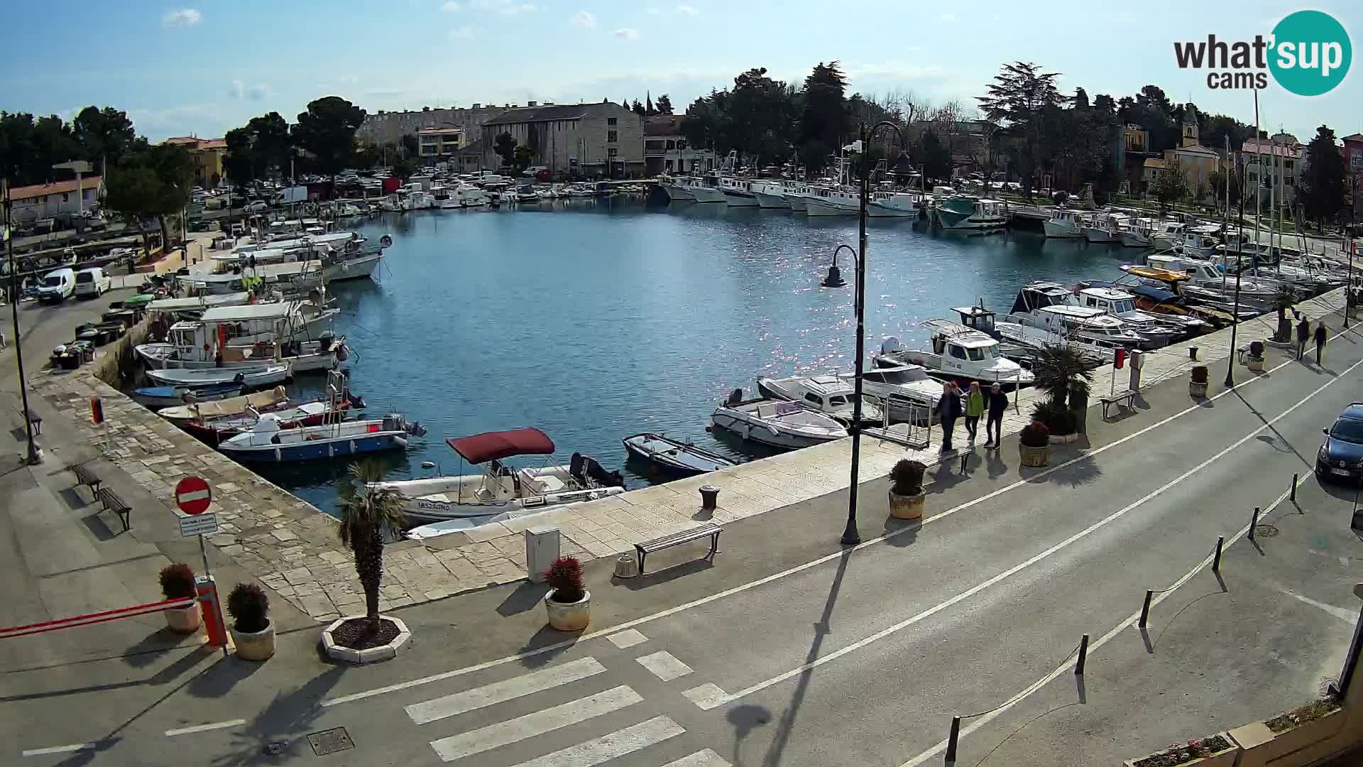 Novigrad webcam Mandrač | alten Hafen – Istrien