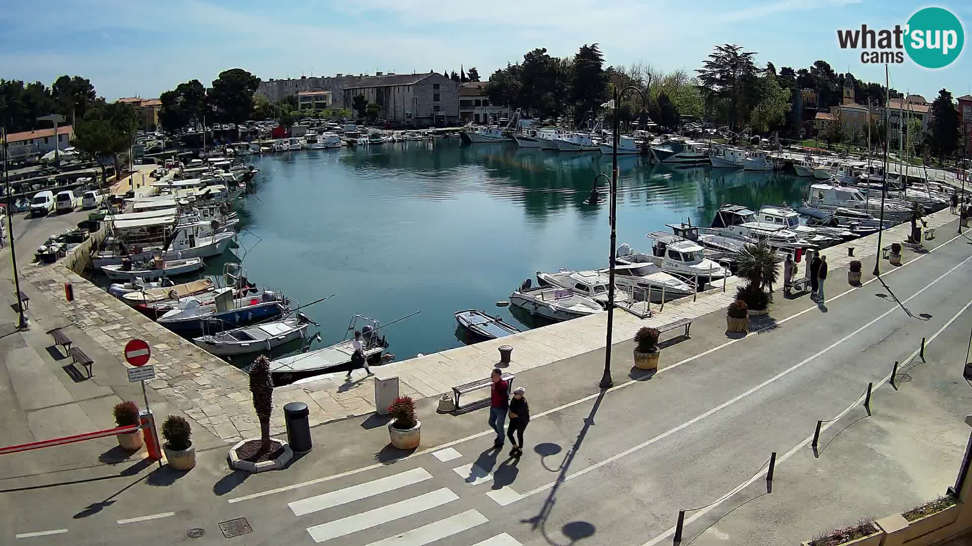 Novigrad webcam Mandrač | Cittanova in Istria – Porto vecchio