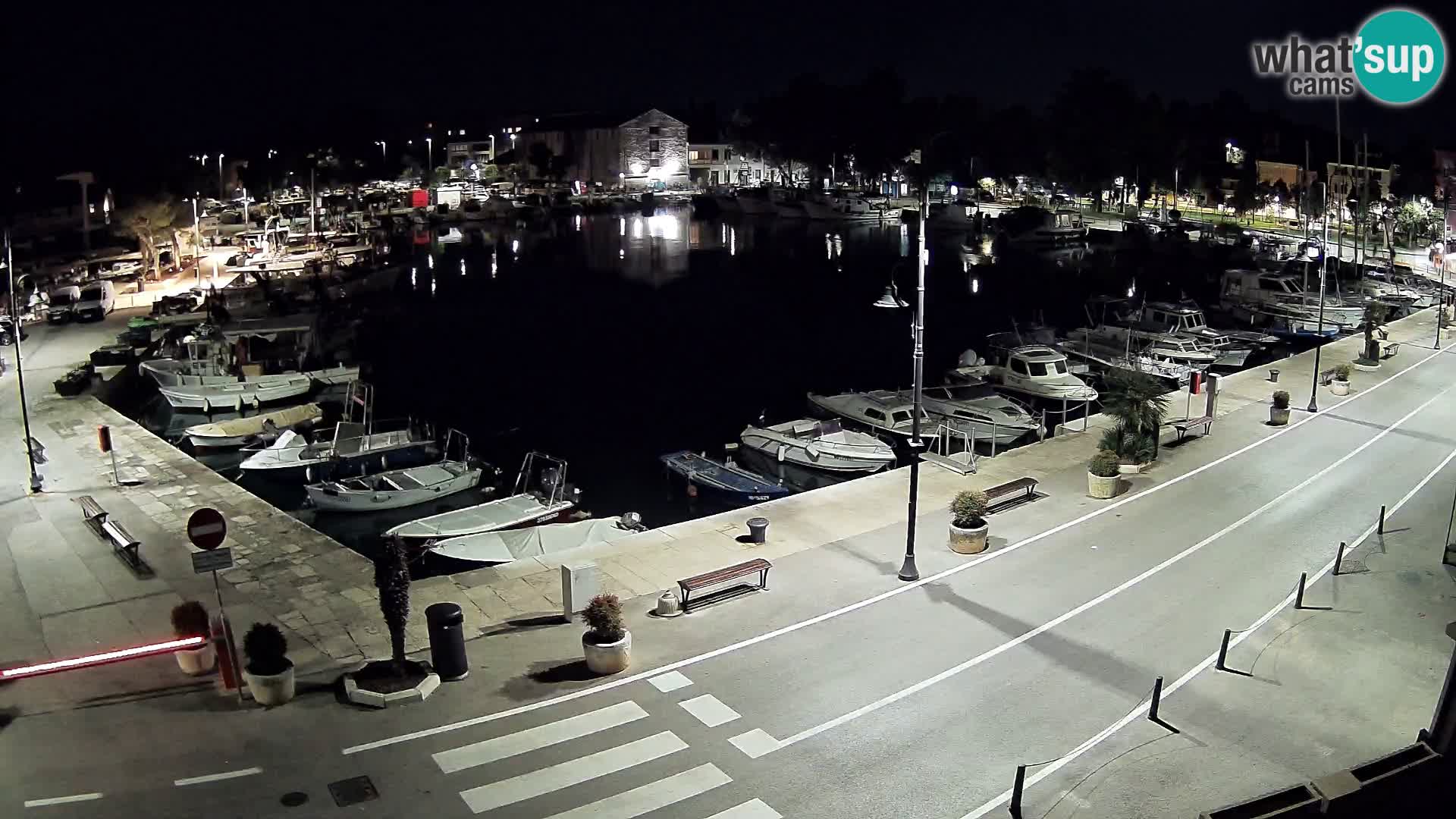Novigrad webcam Mandrač | Cittanova in Istria – Porto vecchio