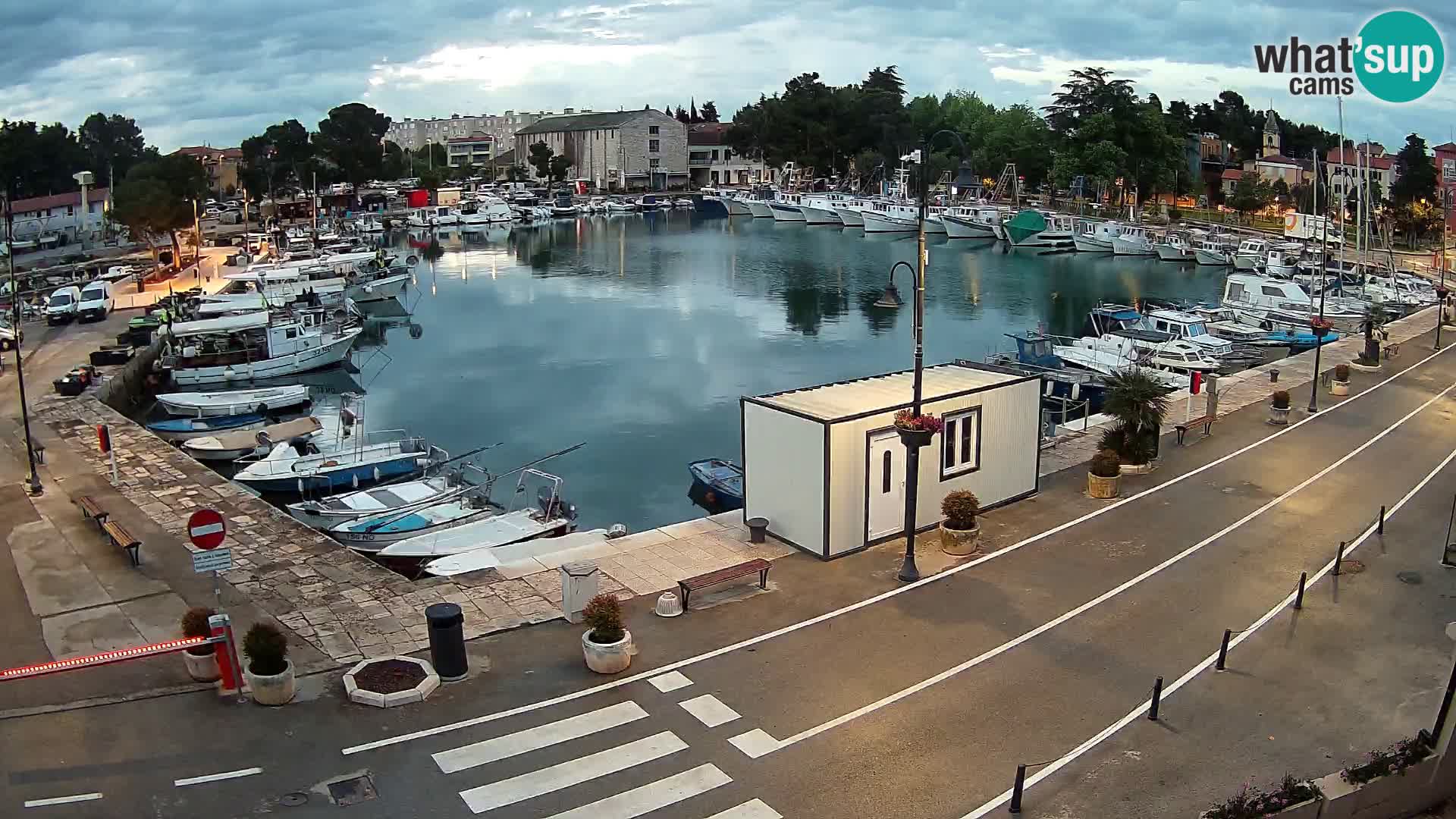 Novigrad webcam Mandrač | alten Hafen – Istrien