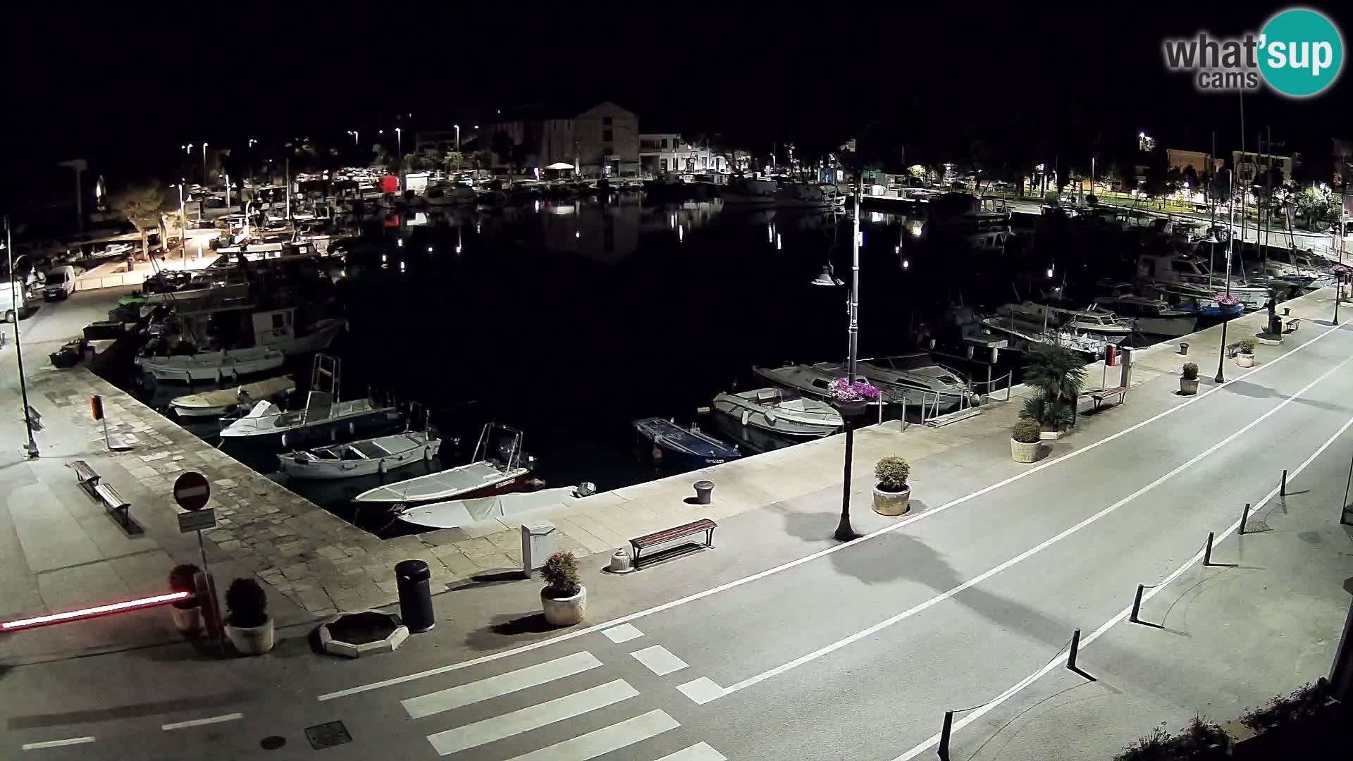 Novigrad webcam Mandrač | Cittanova in Istria – Porto vecchio