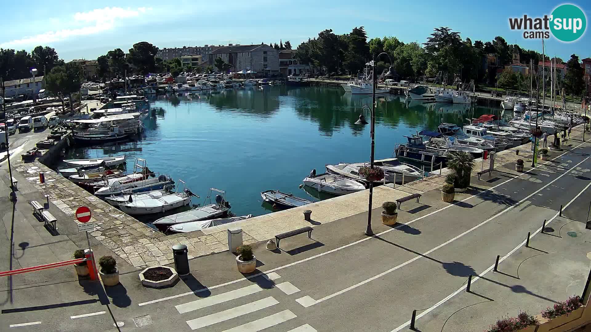 Novigrad webcam Mandrač | Cittanova in Istria – Porto vecchio