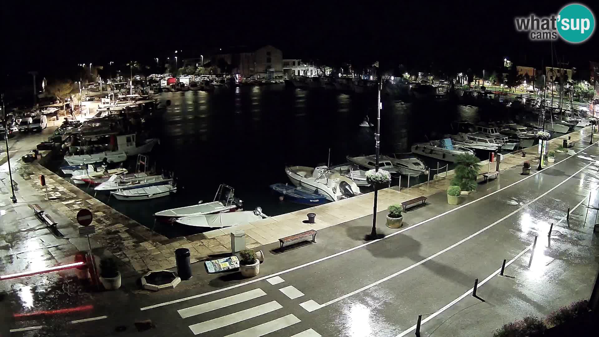 Novigrad kamera Mandrač – Istra