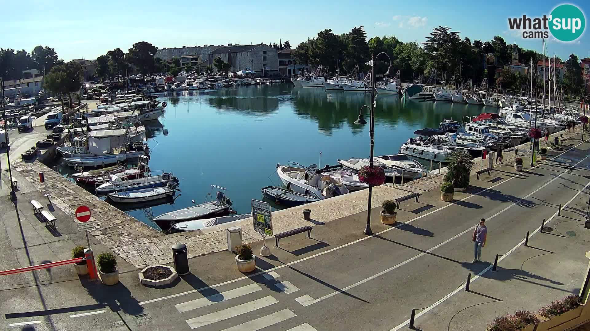 Novigrad webcam Mandrač | Cittanova in Istria – Porto vecchio