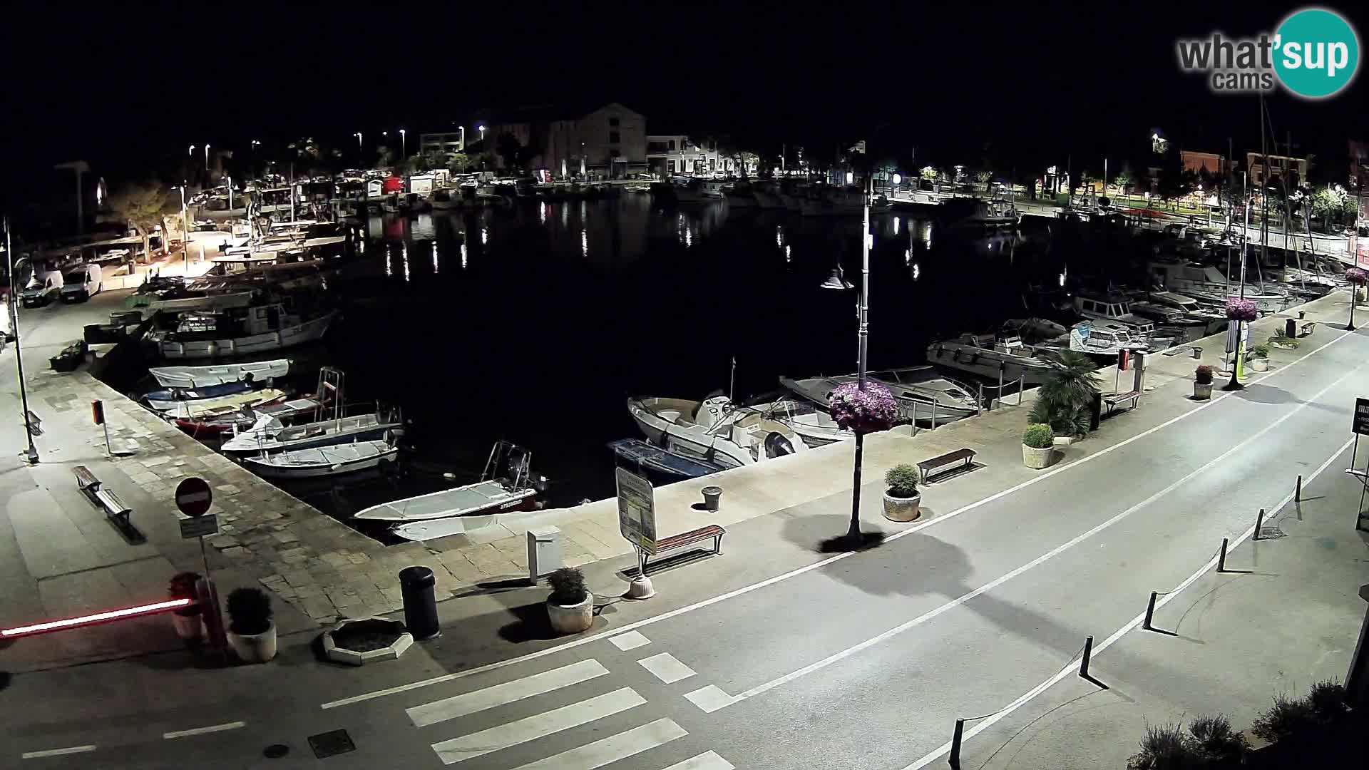 Novigrad –  Mandrač