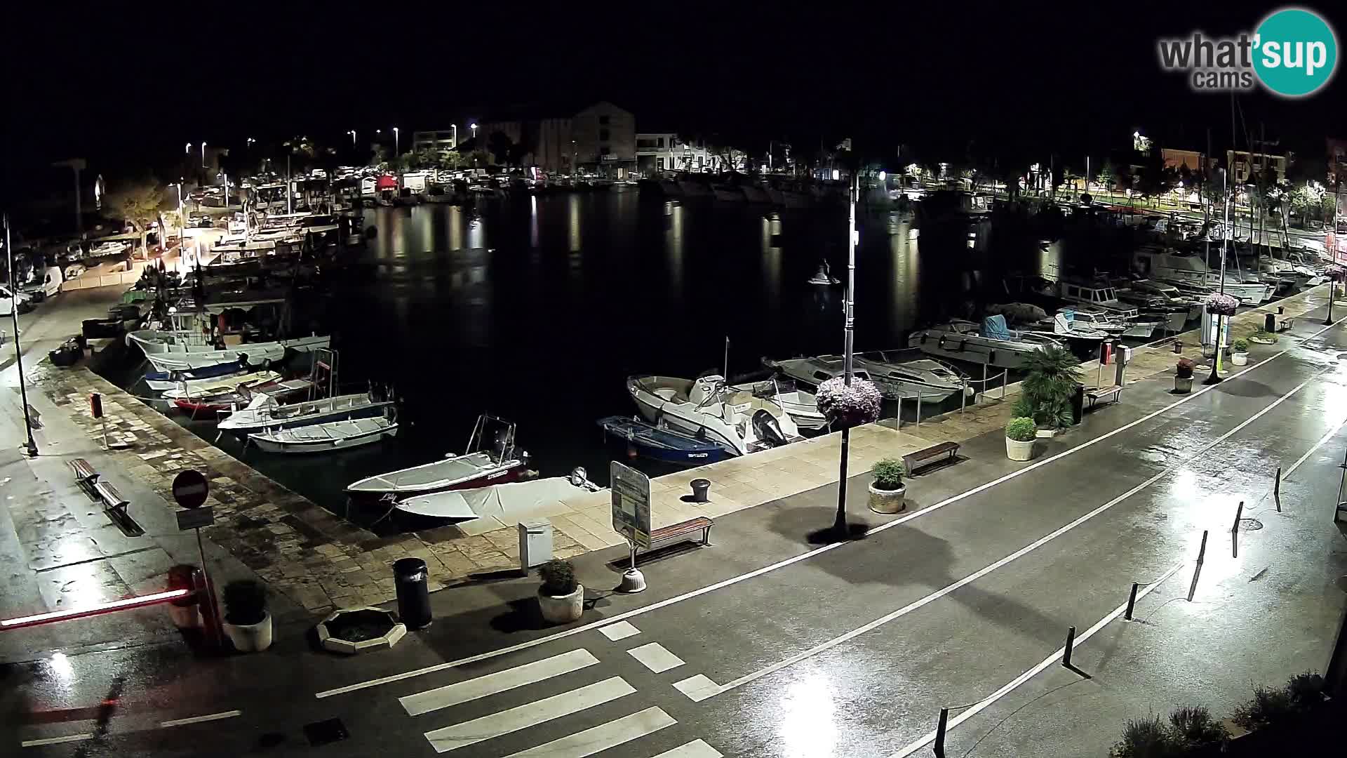 Novigrad webcam Mandrač | Cittanova in Istria – Porto vecchio