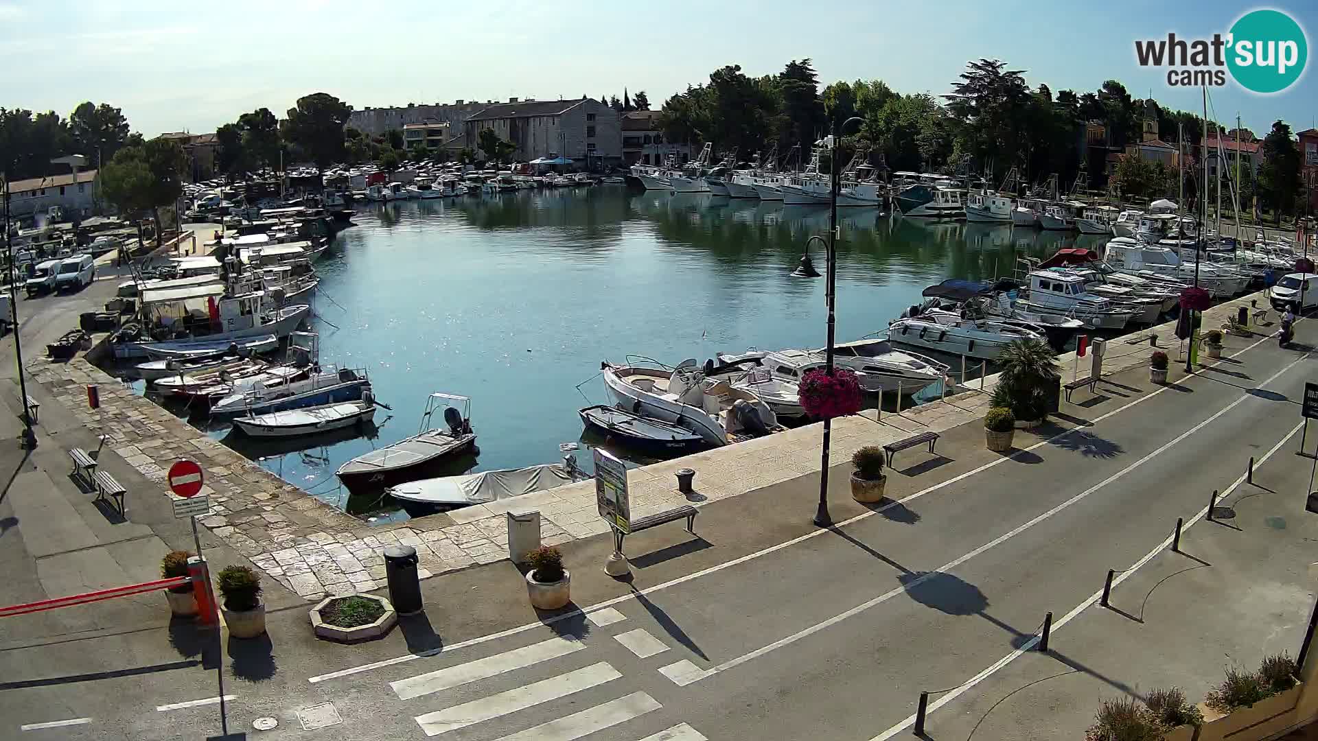 Novigrad kamera Mandrač – Istra