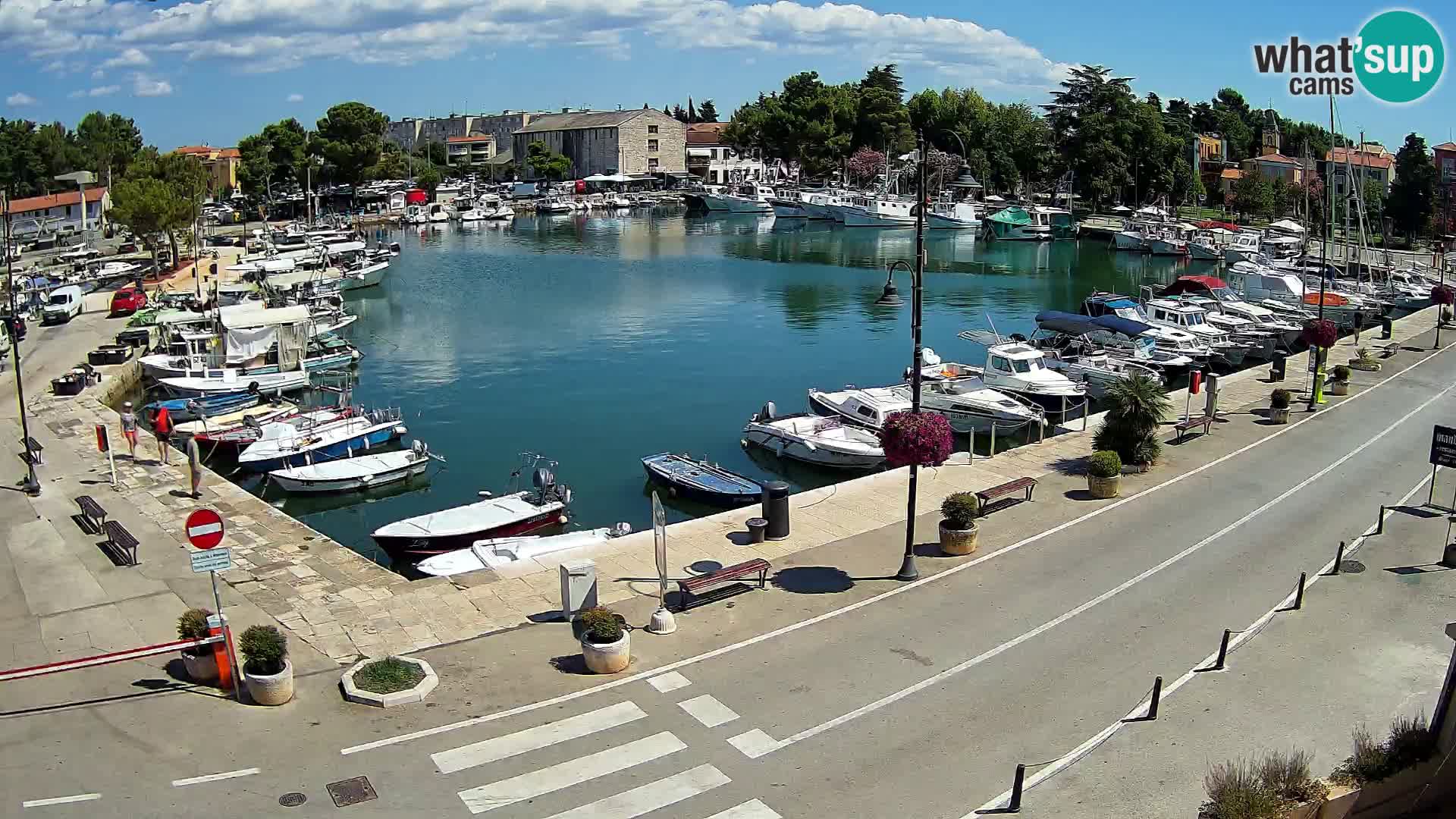 Novigrad –  Mandrač