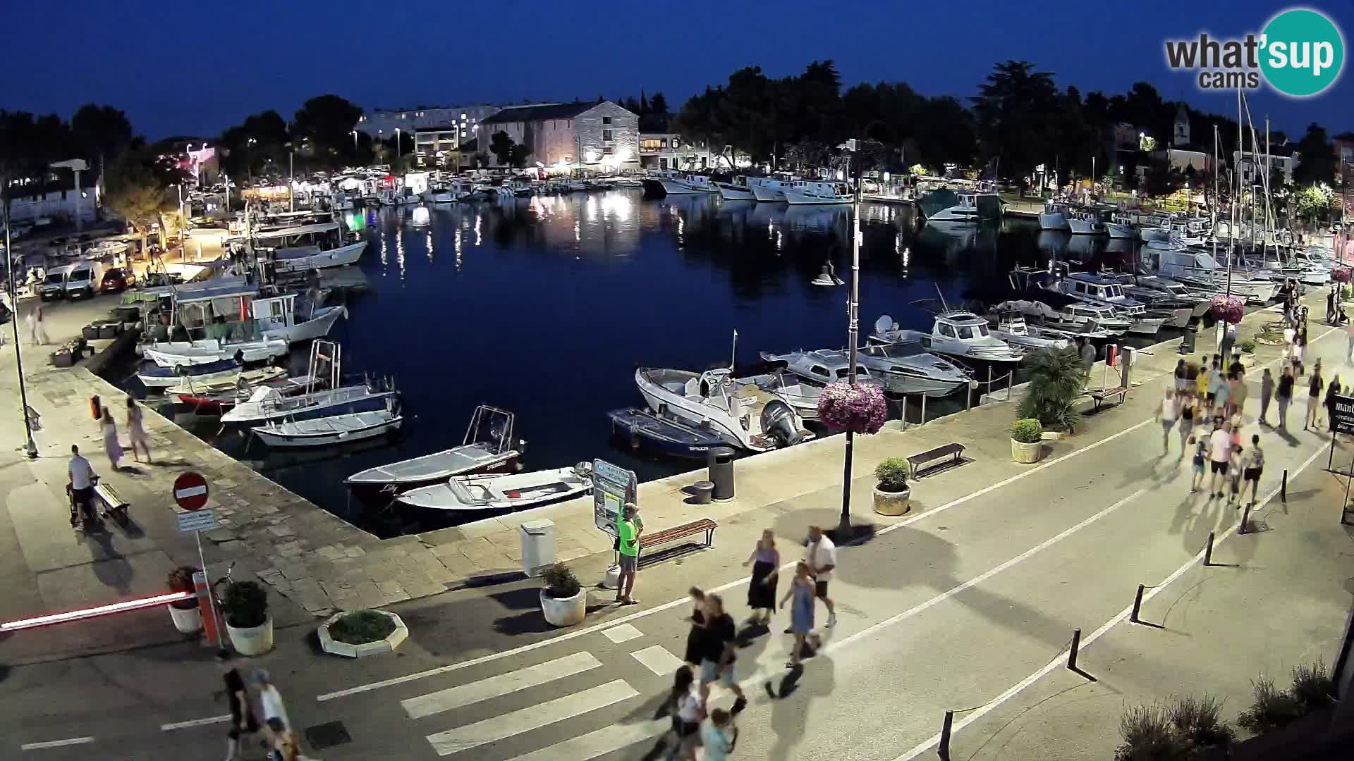 Novigrad kamera Mandrač – Istra