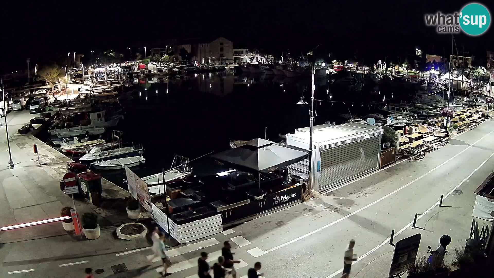 Novigrad webcam Mandrač | Cittanova in Istria – Porto vecchio