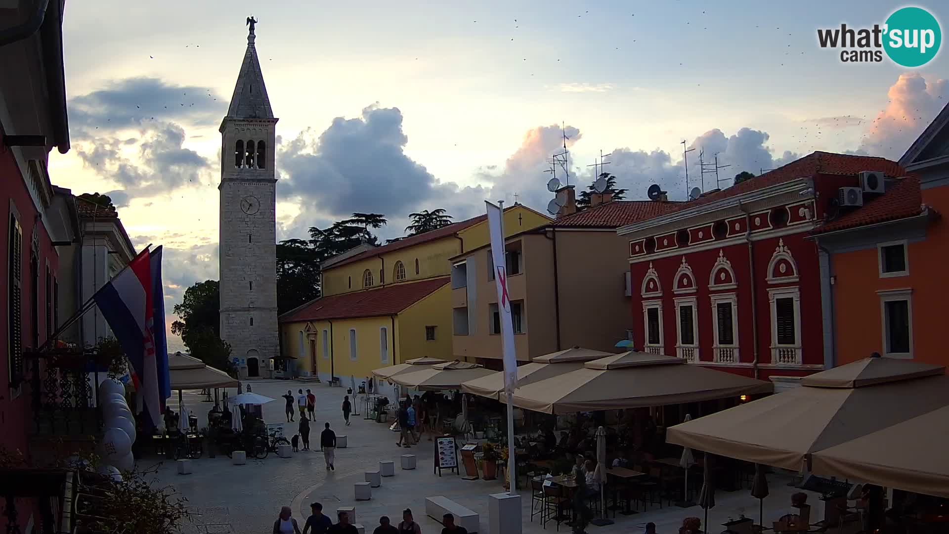 Web kamera - Novigrad