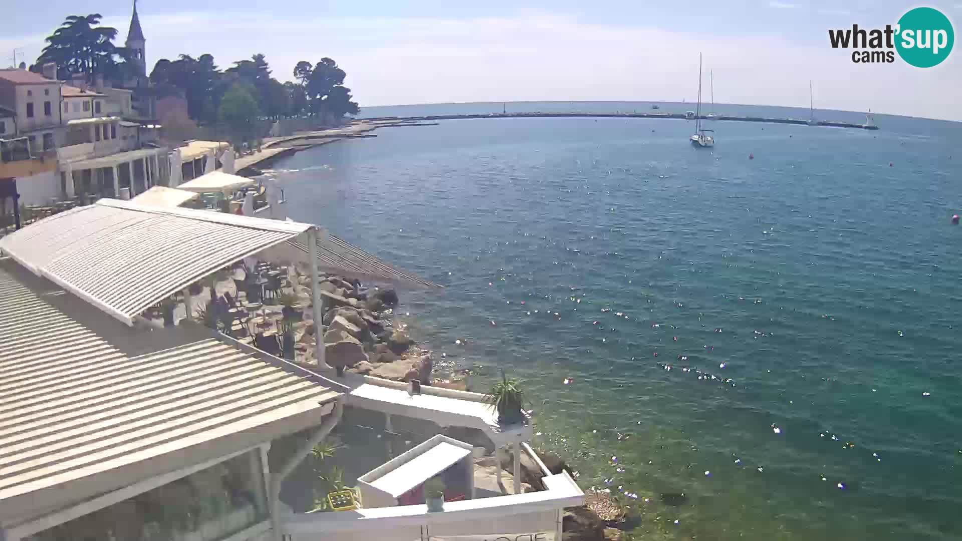 Live webcam Novigrad – Porporela – Istria – Croatia