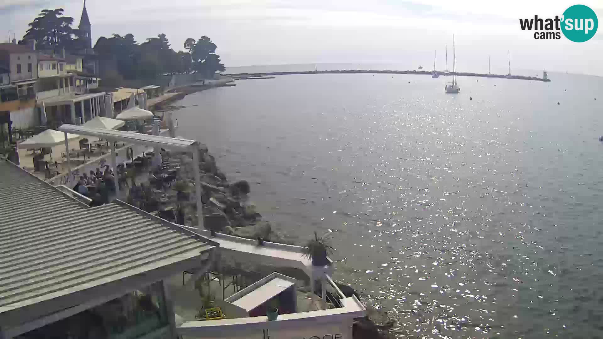 Novigrad live webcam – Porporela