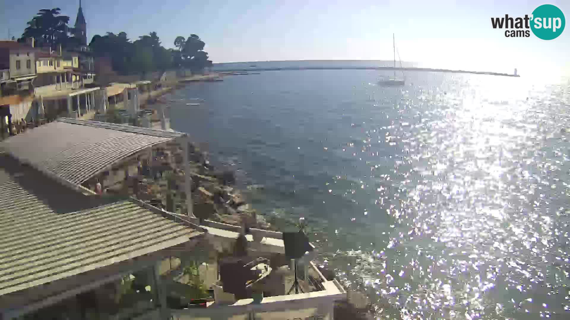 LIVE cam Novigrad – Porporela