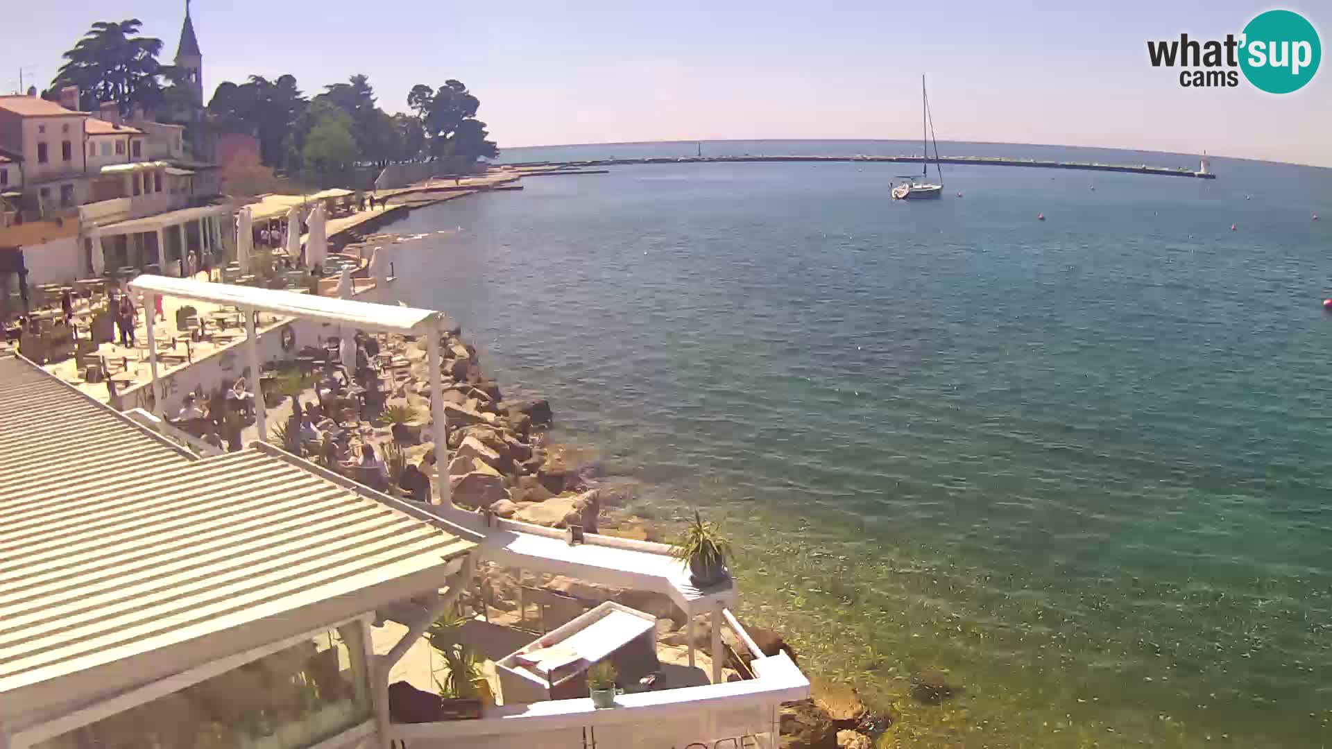LIVE cam Novigrad – Porporela