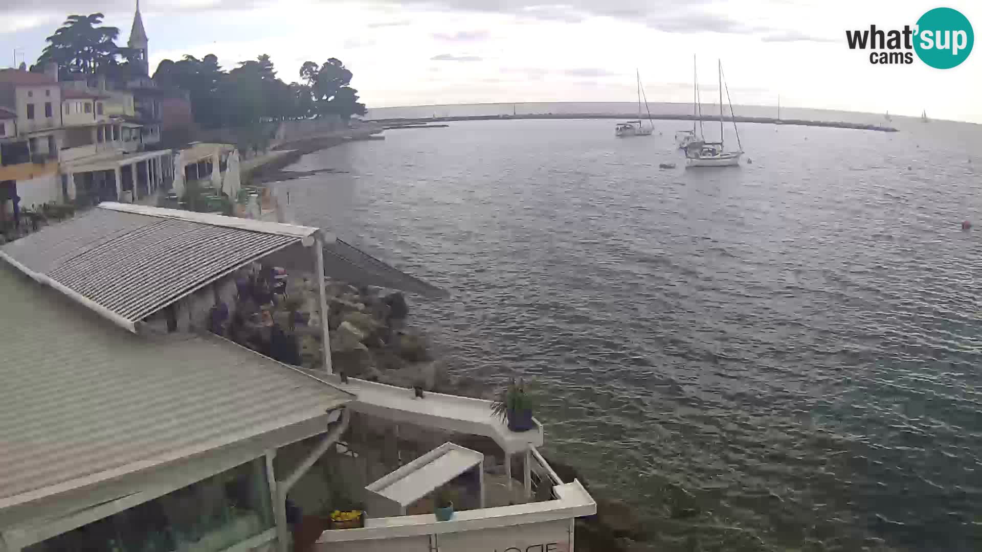 V živo Novigrad – Porporela