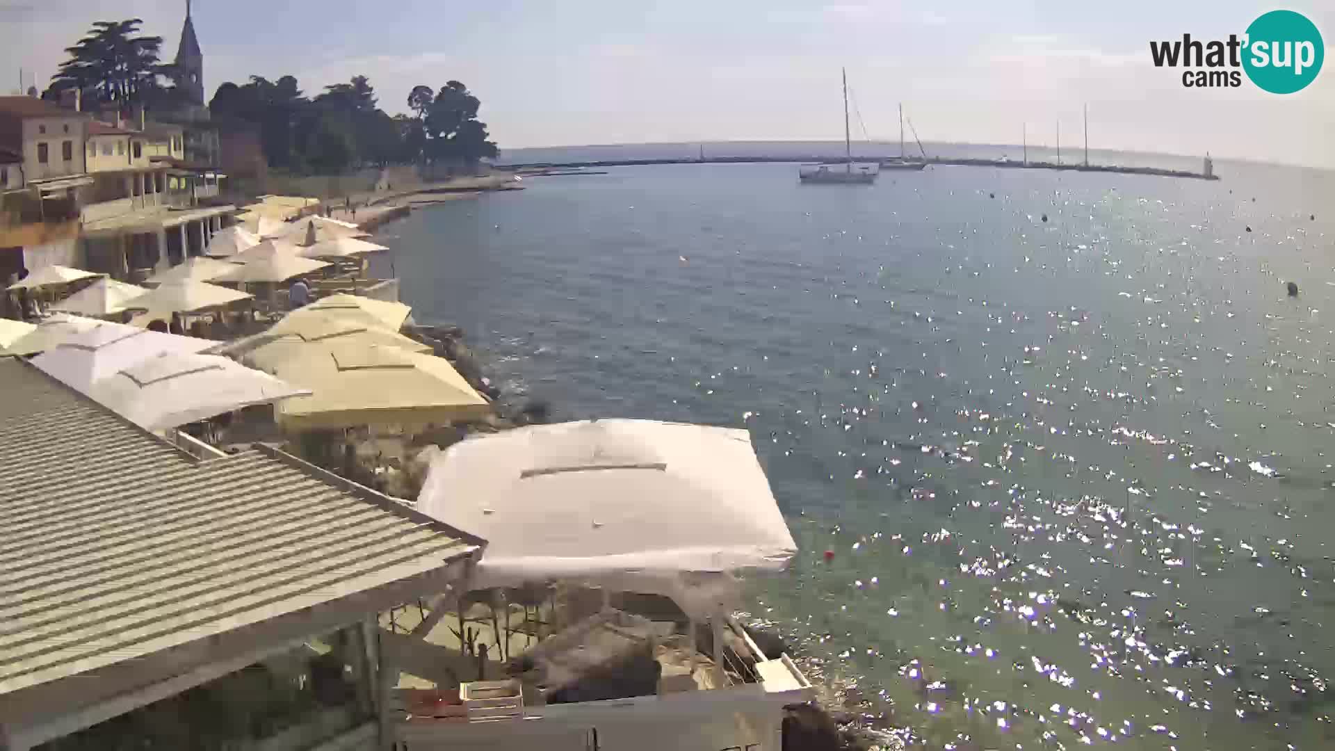 Live webcam Novigrad – Porporela – Istria – Croatia