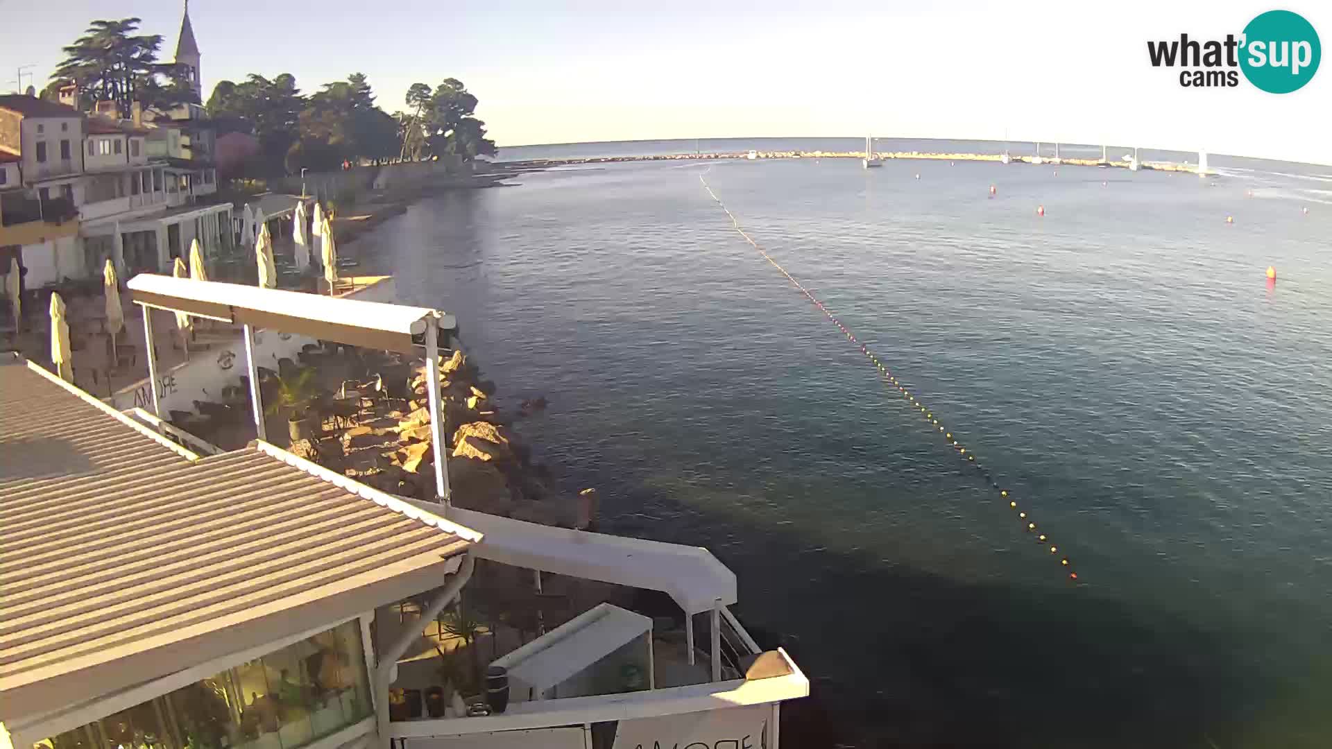 LIVE cam Novigrad – Porporela