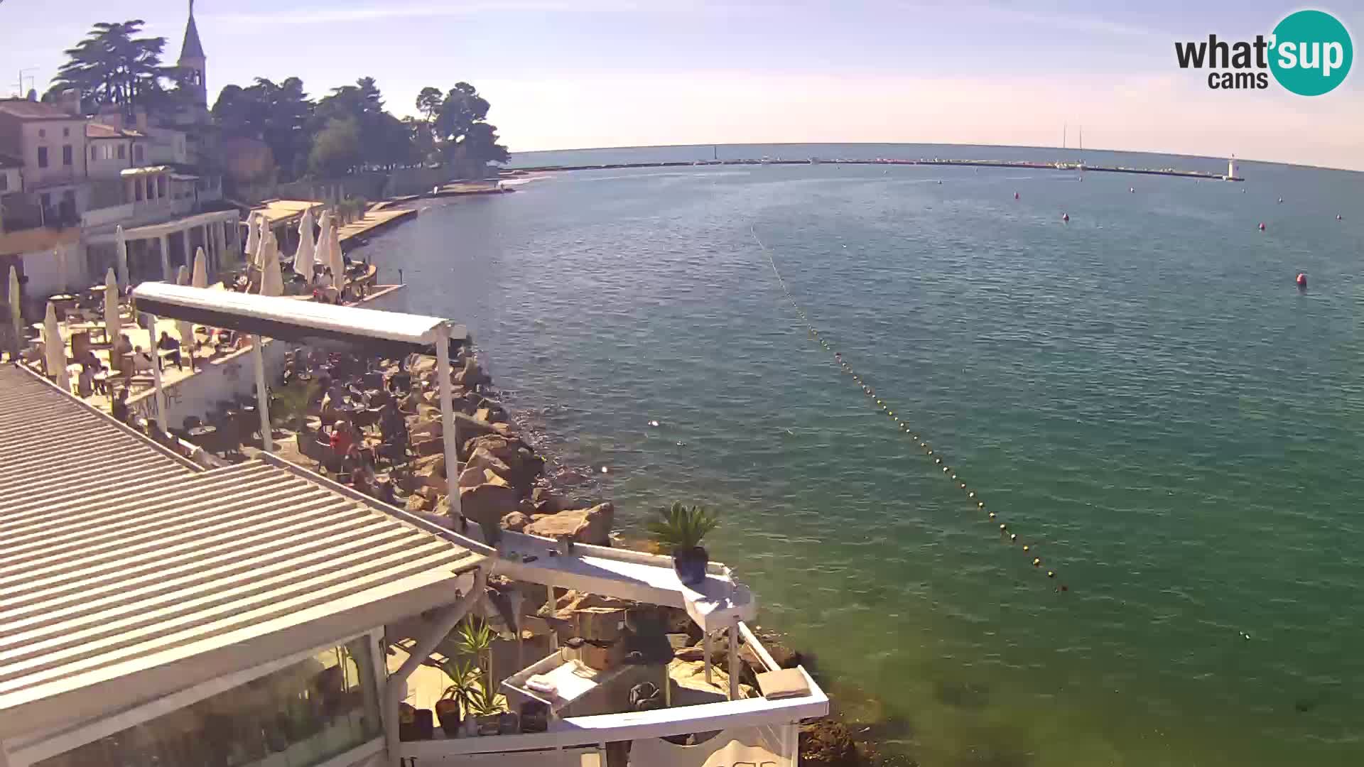 Live webcam Novigrad – Porporela – Istria – Croatia