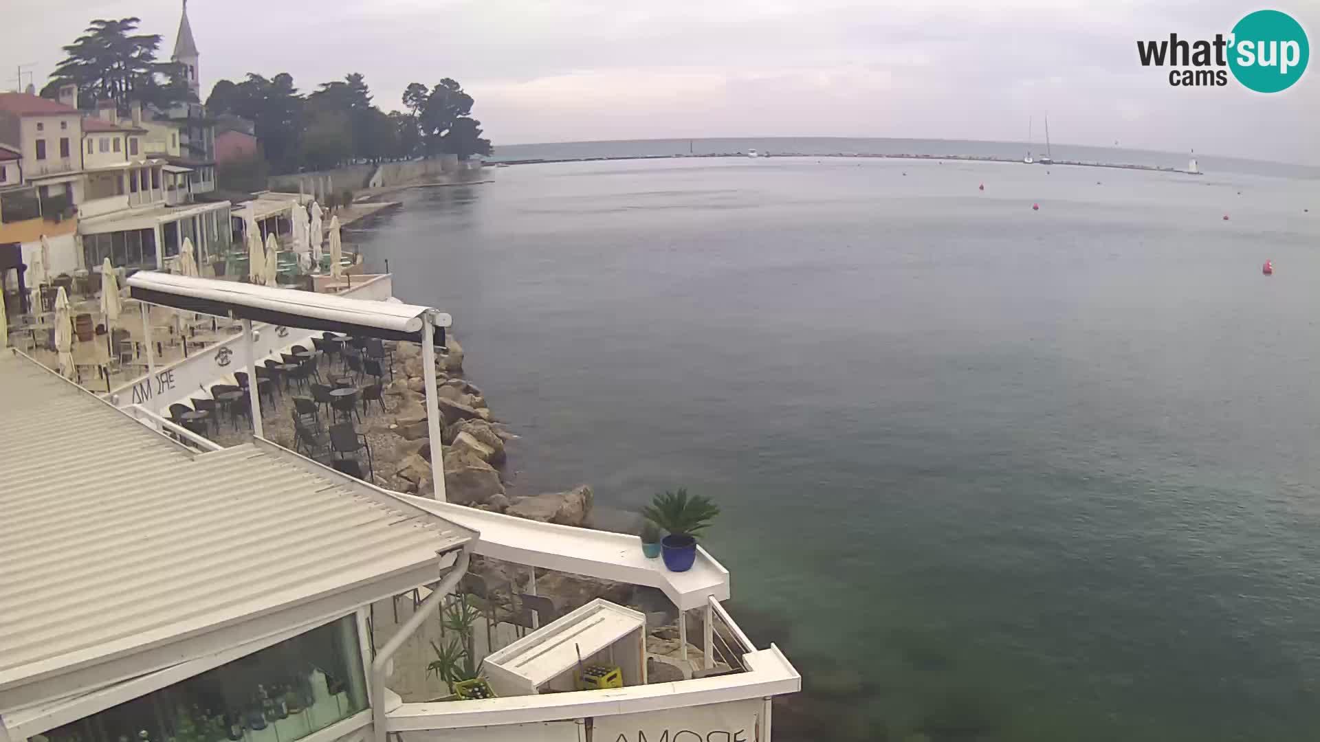 Live webcam Novigrad – Porporela – Istria – Croatia