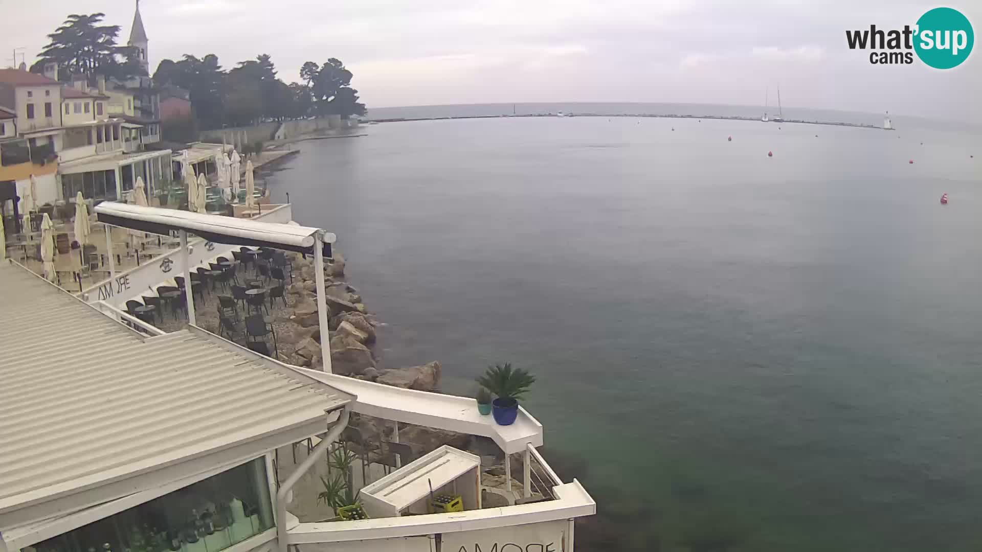 Novigrad live webcam – Porporela