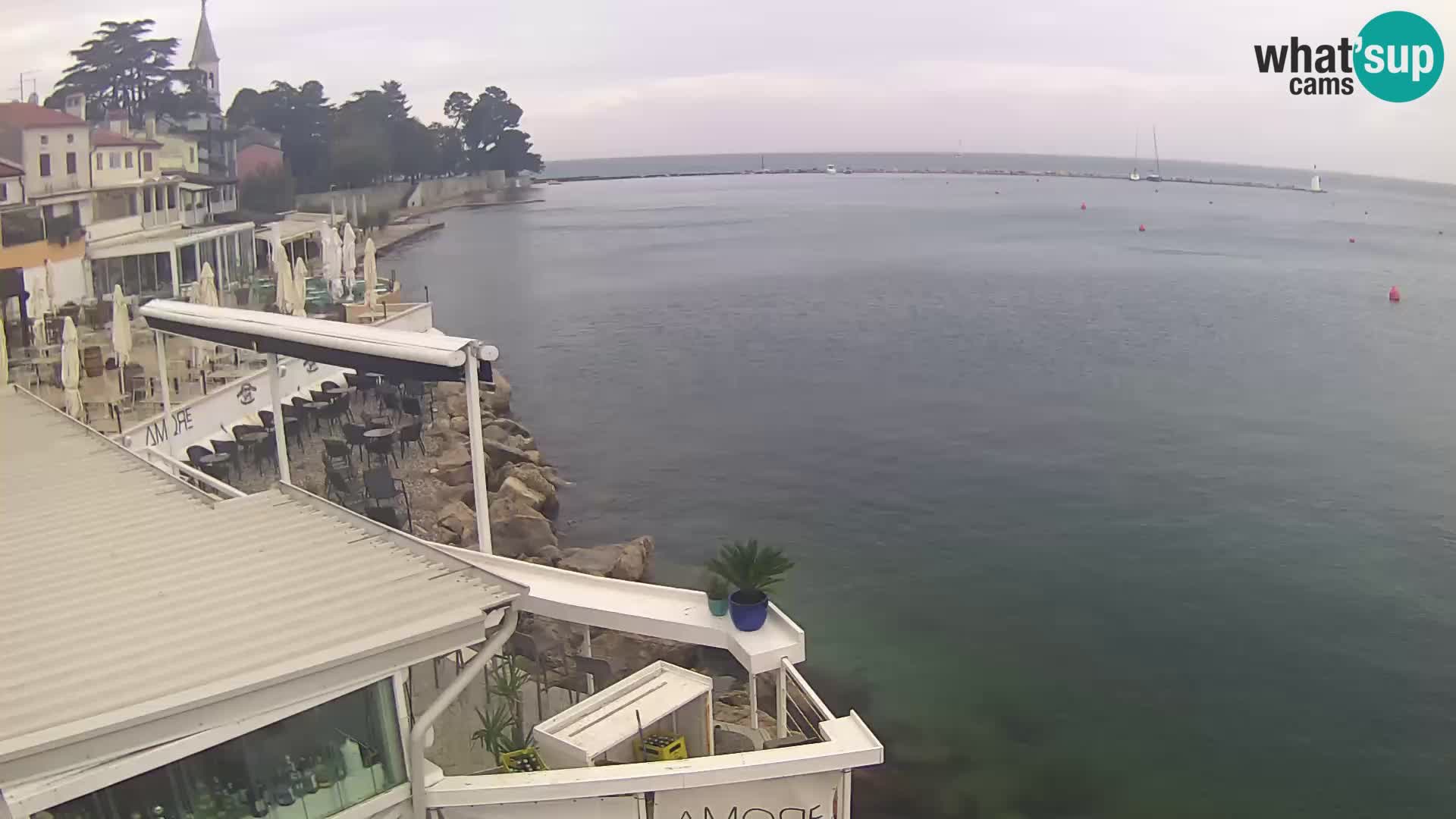 Novigrad live webcam – Porporela