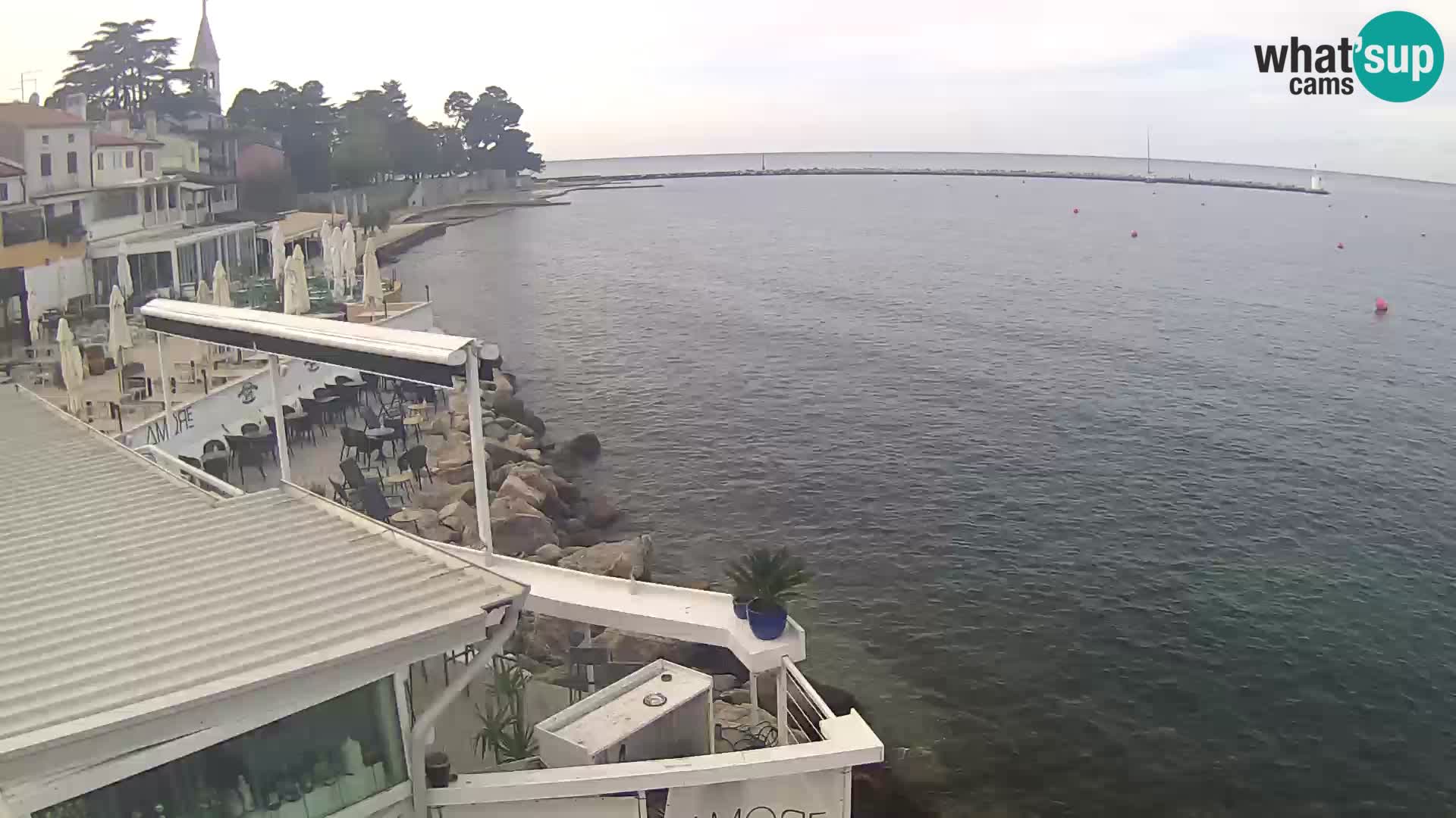 Novigrad live webcam – Porporela