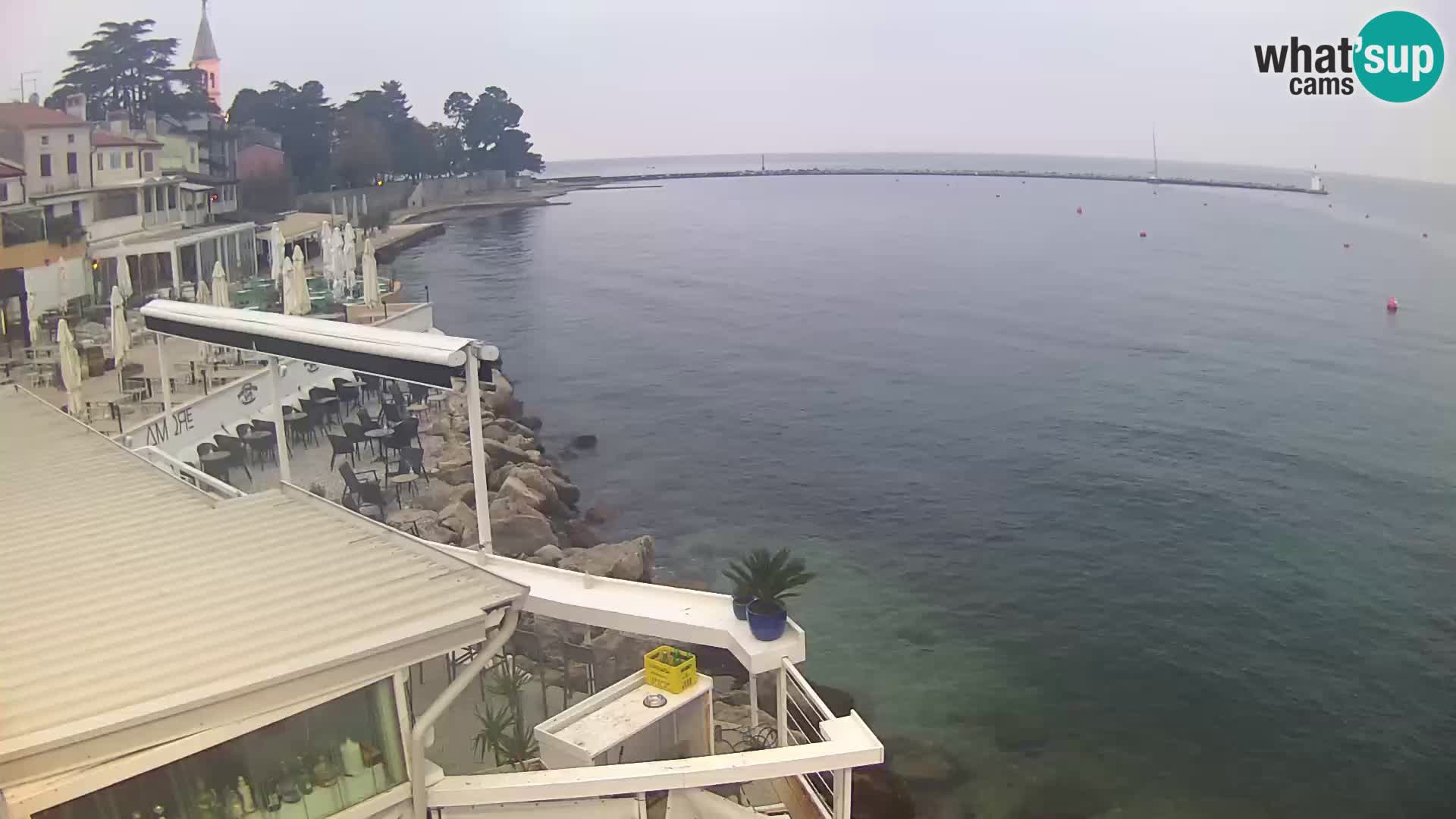 LIVE cam Novigrad – Porporela