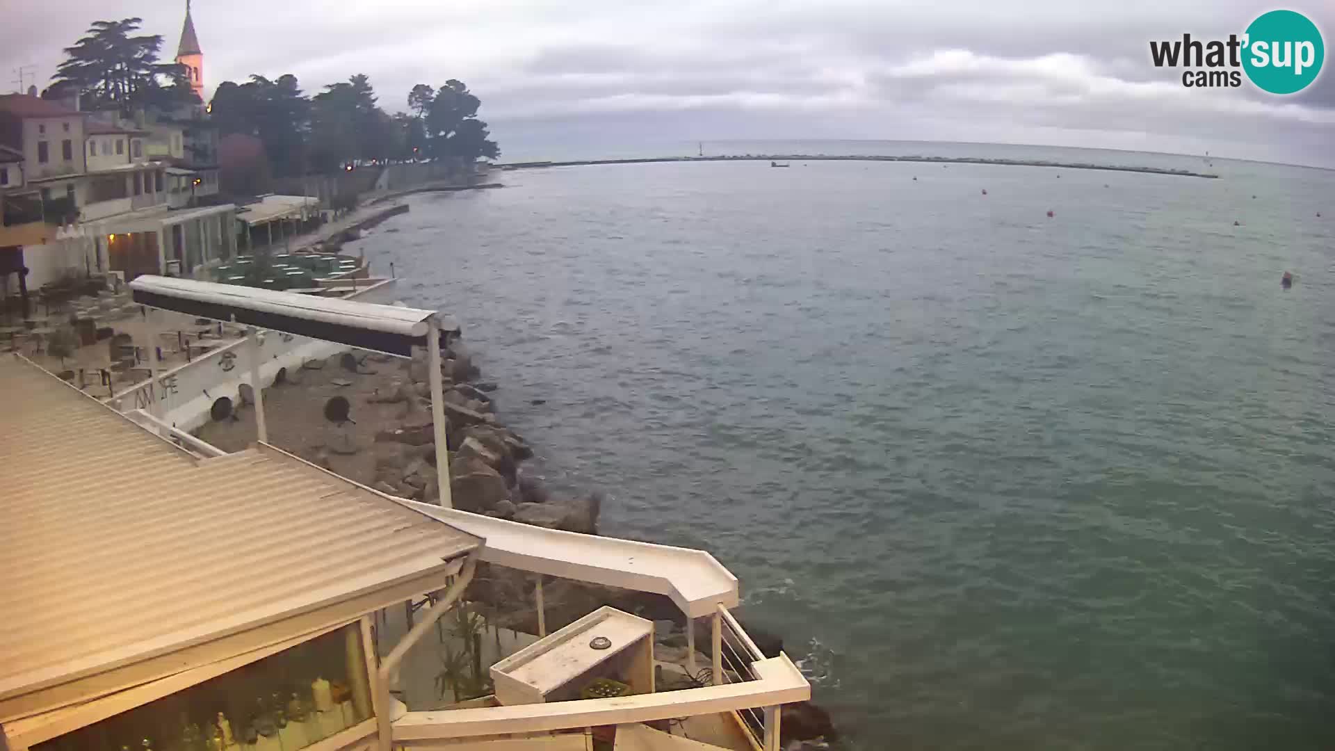 Novigrad live webcam – Porporela