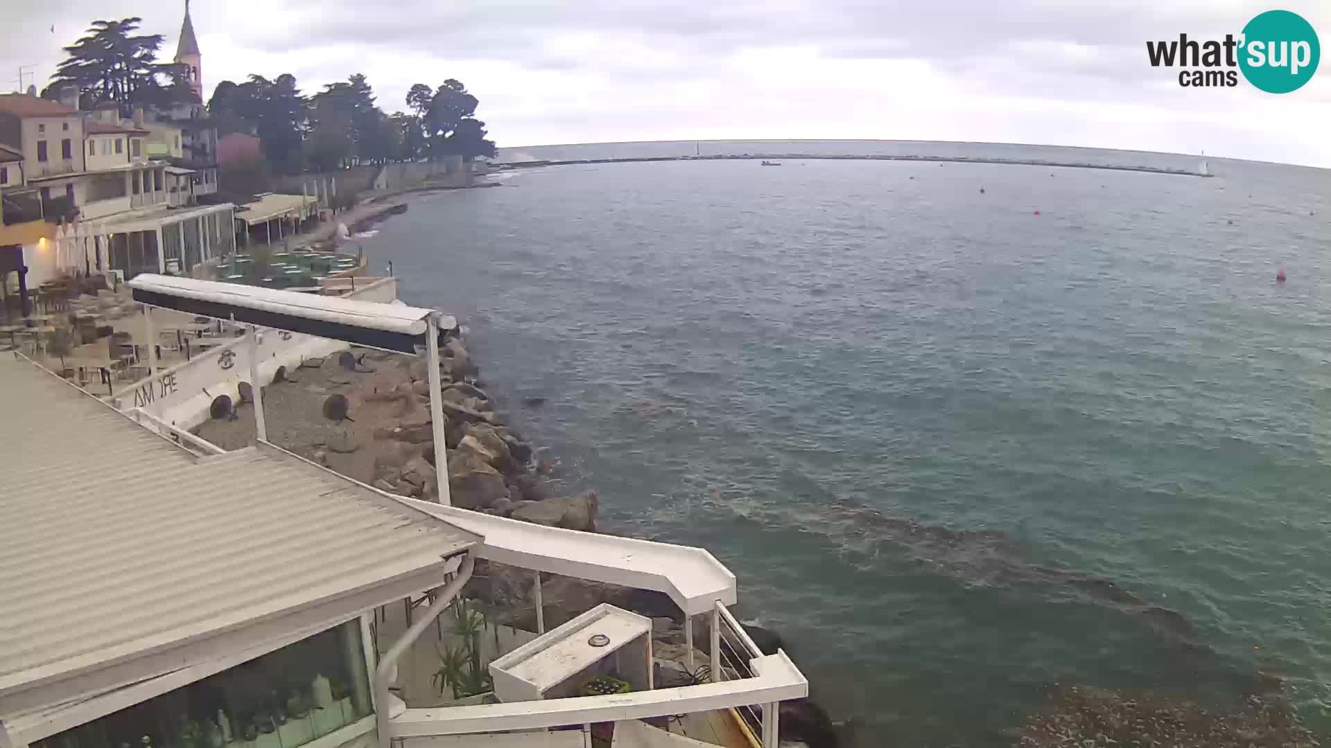 Novigrad live webcam – Porporela