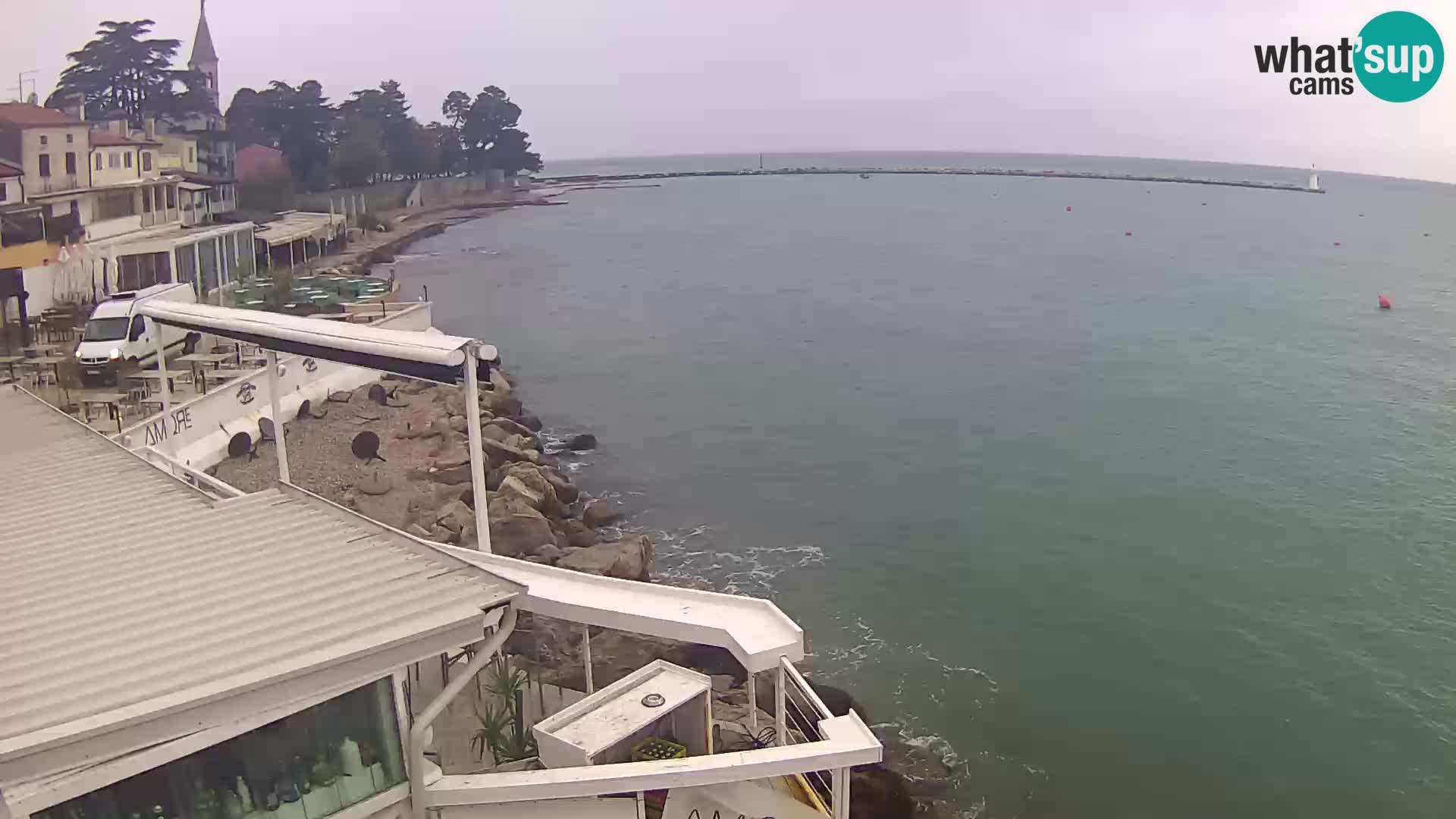 Novigrad live webcam – Porporela