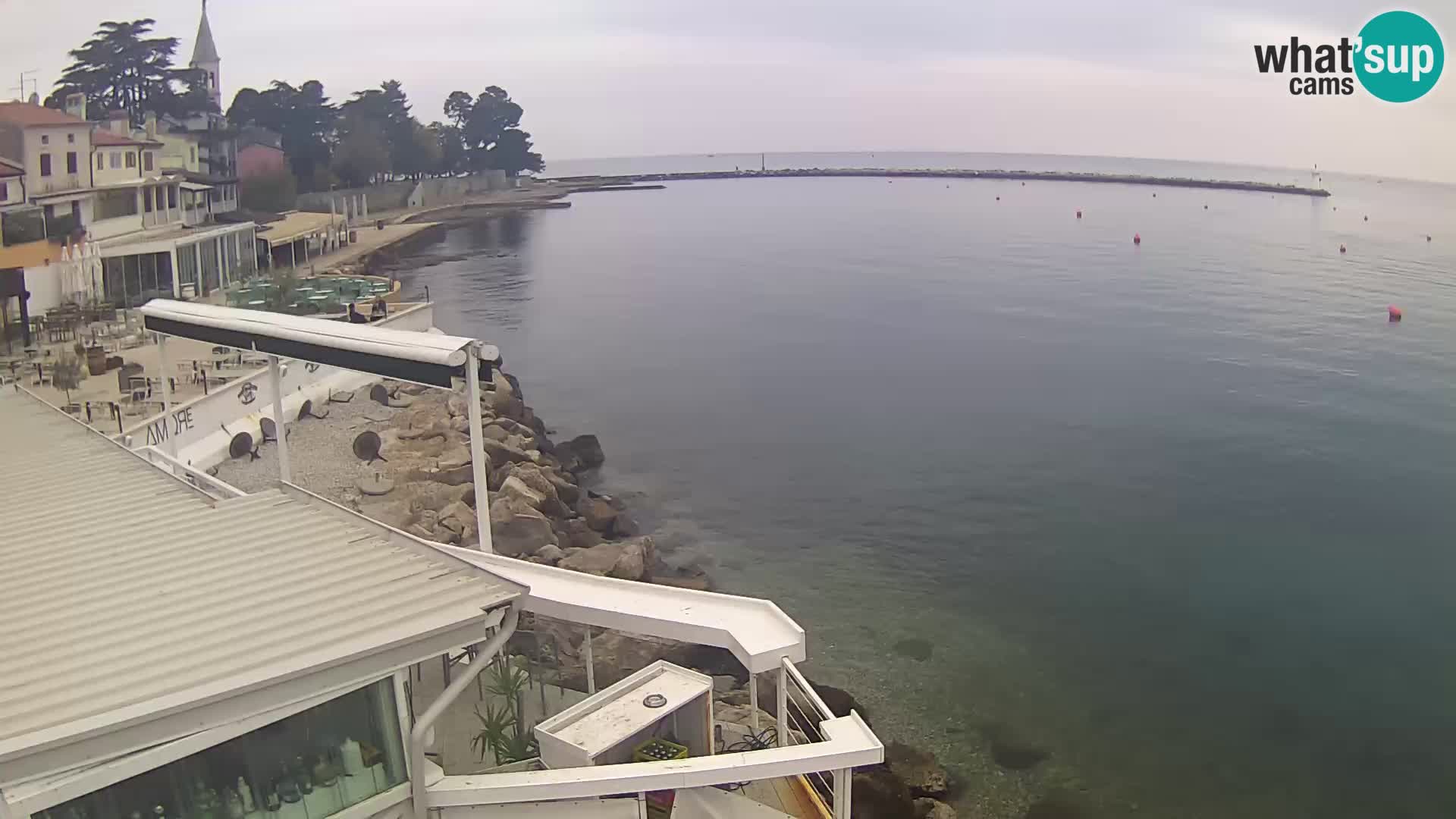 Novigrad live webcam – Porporela