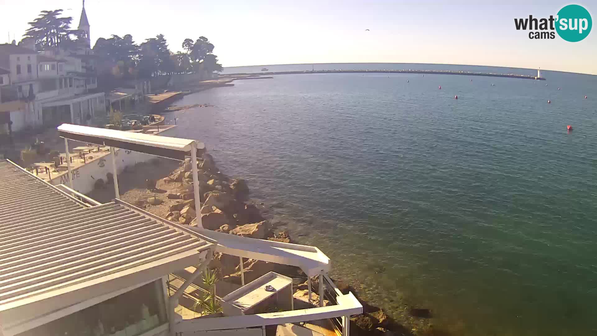 Novigrad live webcam – Porporela