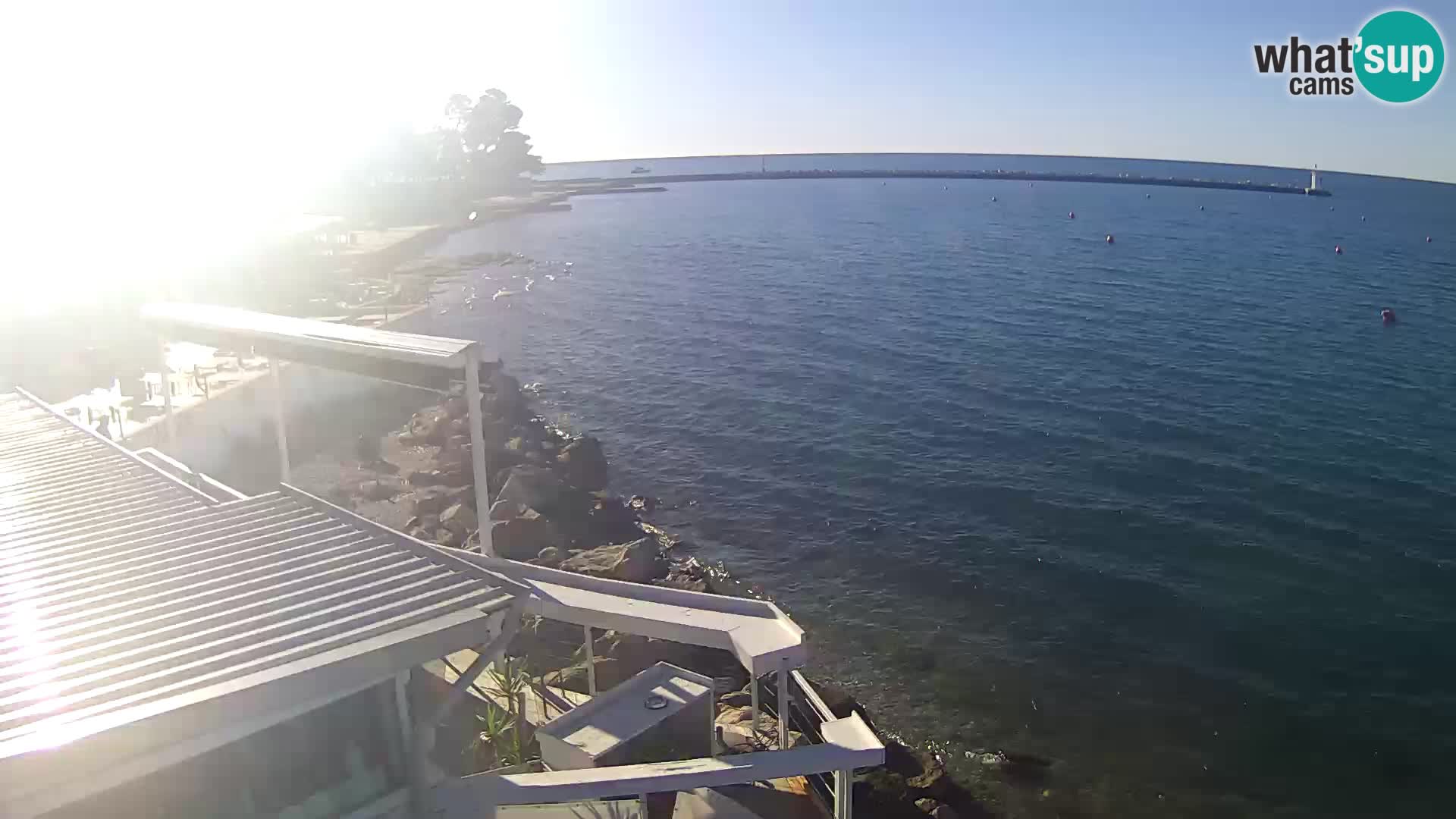 Novigrad live webcam – Porporela