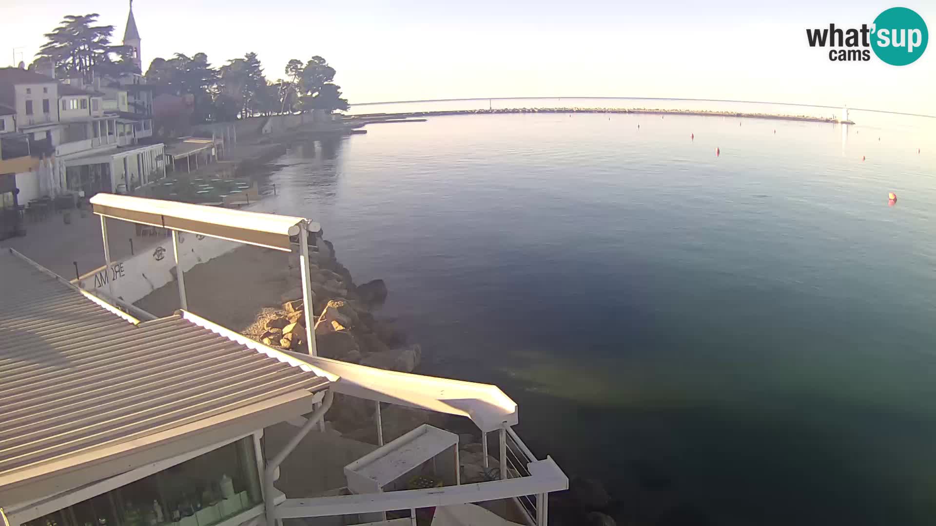 Novigrad live webcam – Porporela