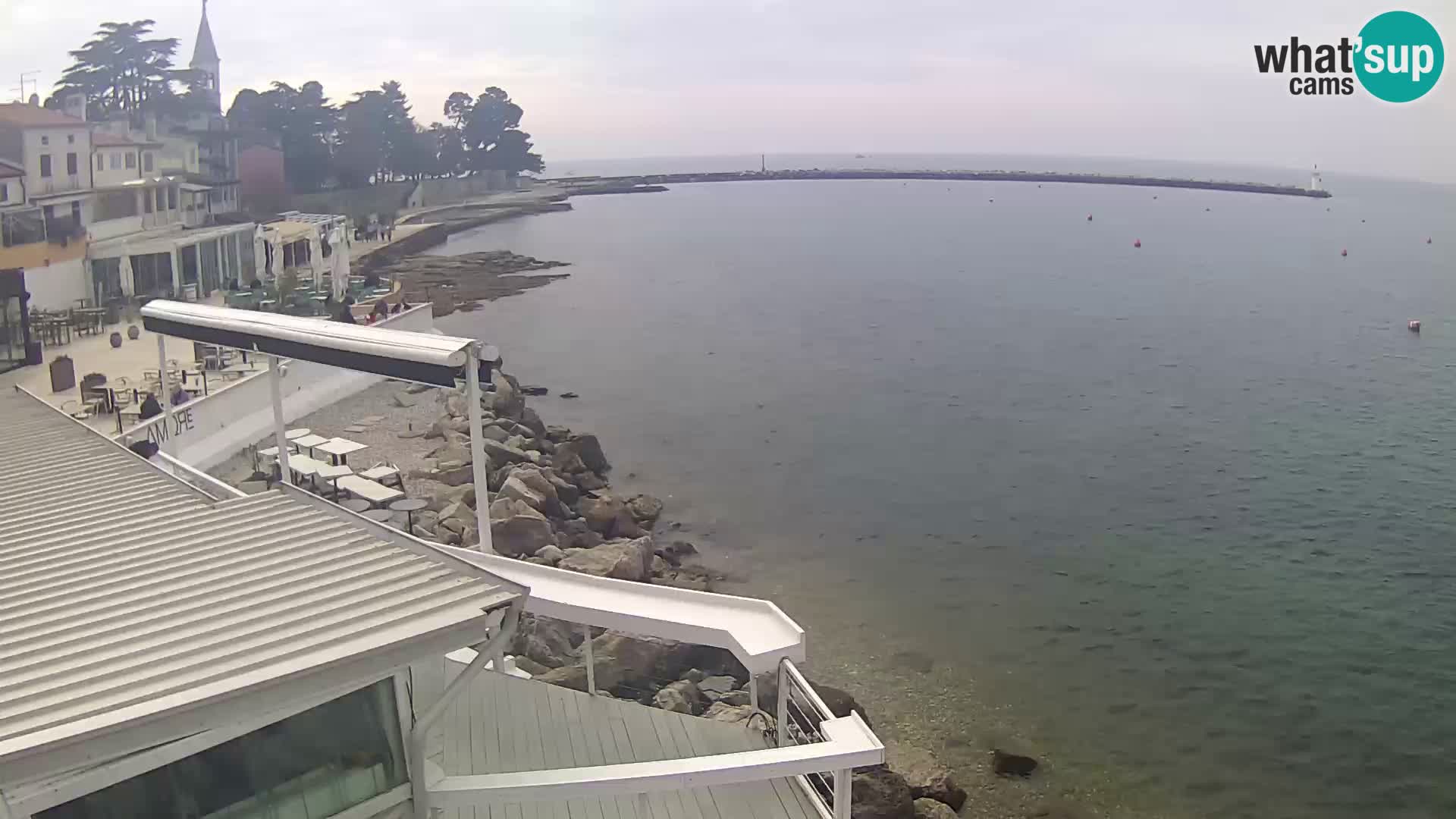 Novigrad live webcam – Porporela