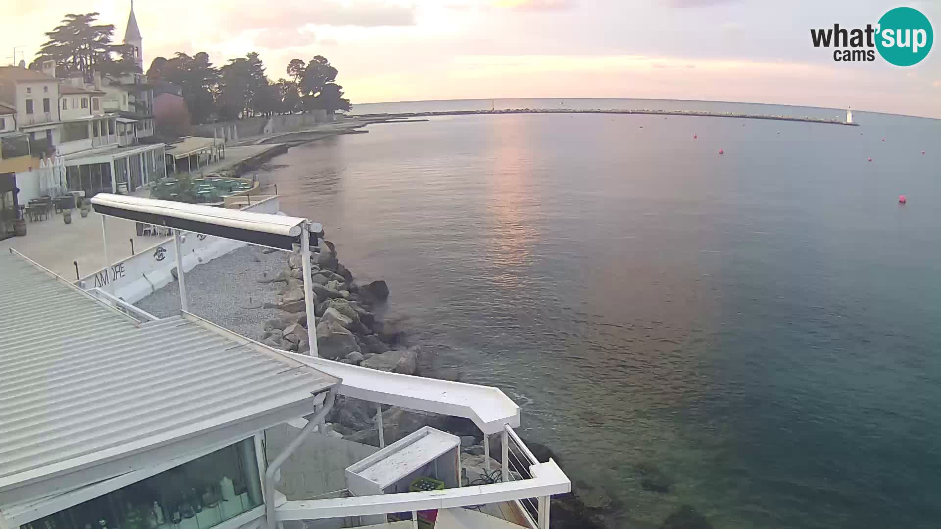 LIVE cam Novigrad – Porporela