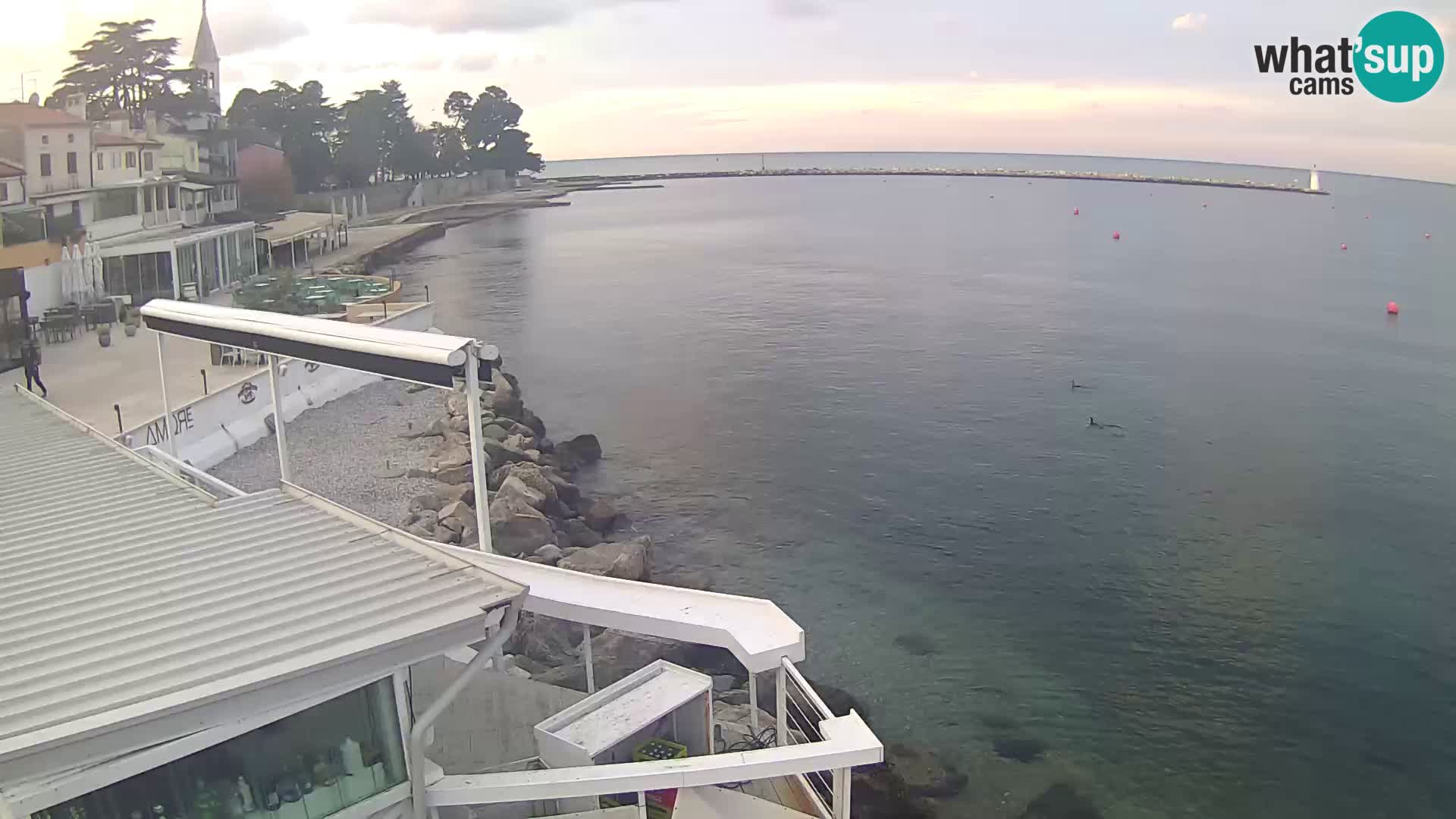 Novigrad live webcam – Porporela