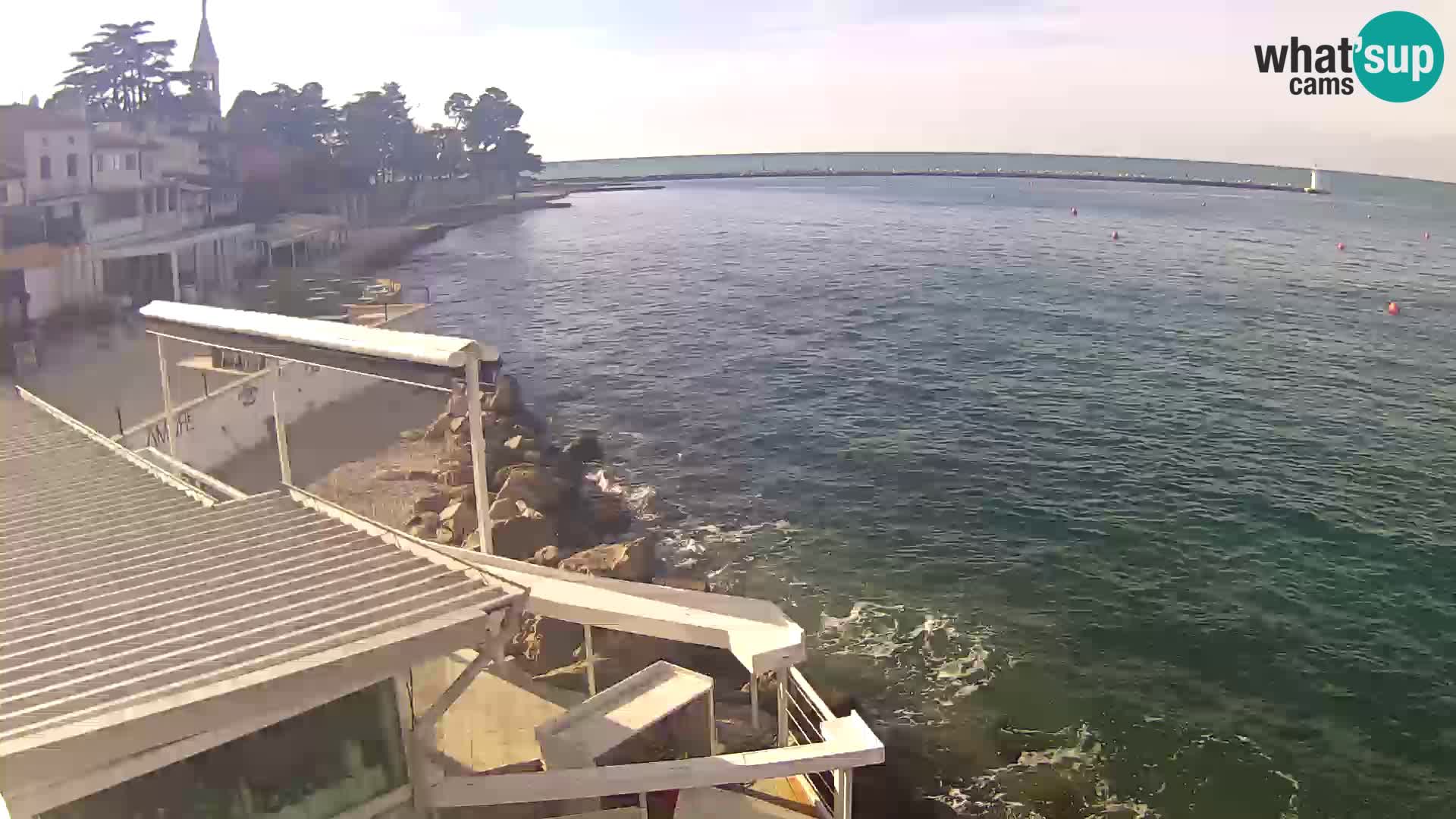 LIVE cam Novigrad – Porporela