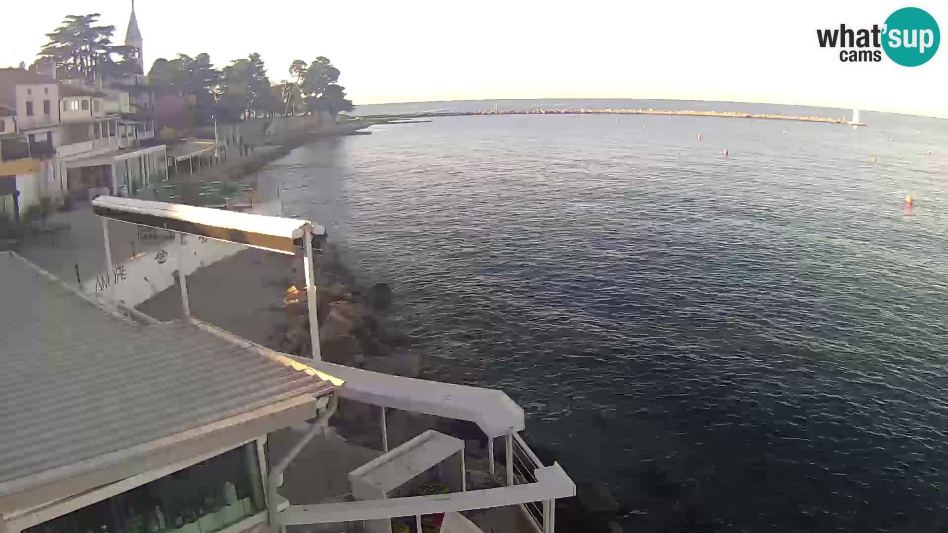 LIVE cam Novigrad – Porporela