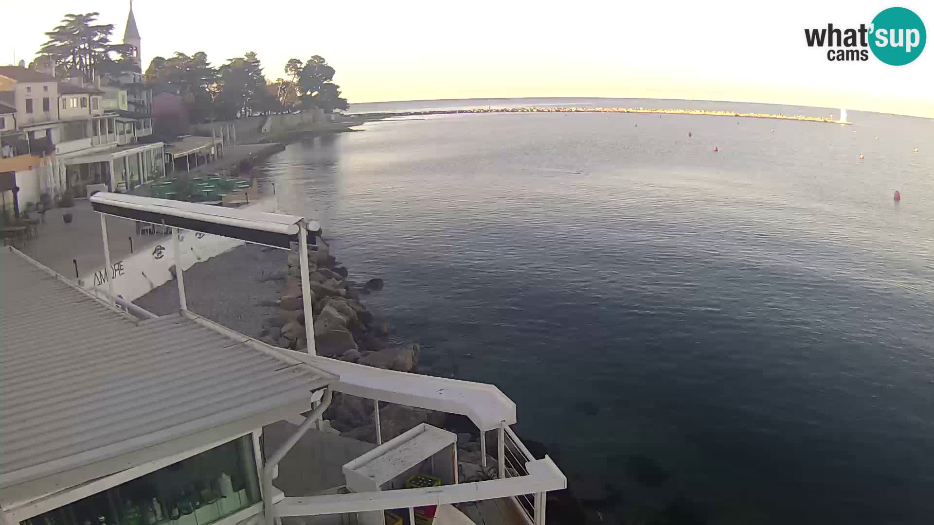 Live webcam Novigrad – Porporela – Istria – Croatia