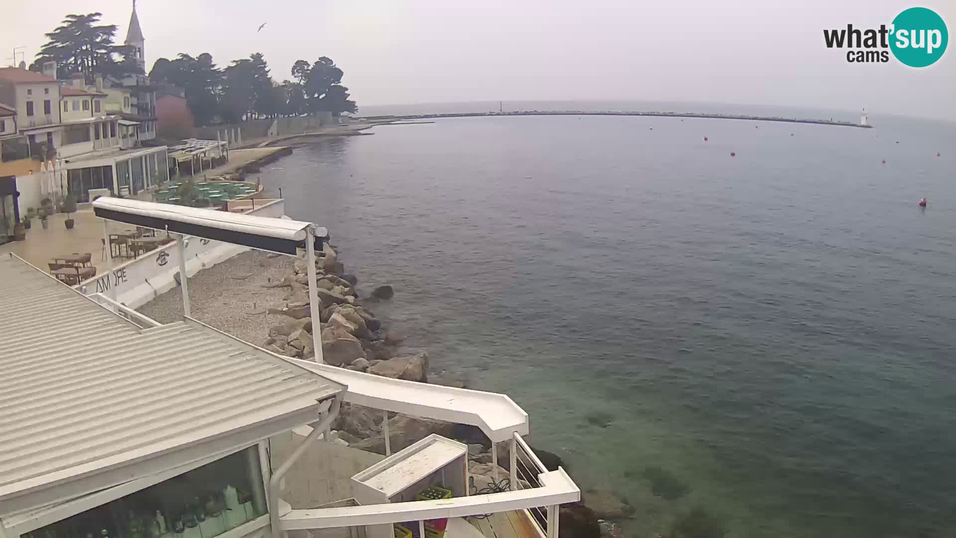 LIVE cam Novigrad – Porporela