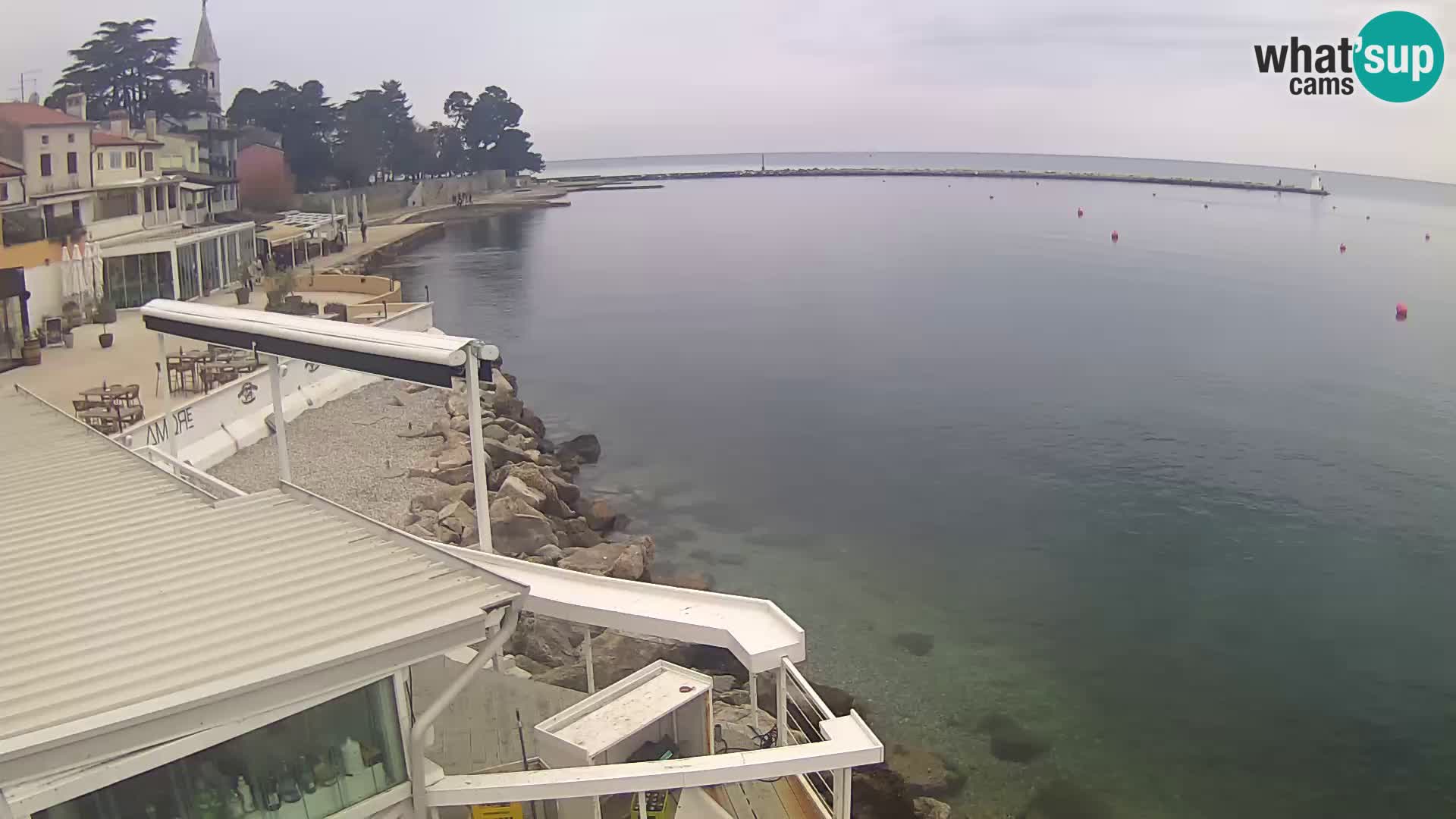 Novigrad live webcam – Porporela