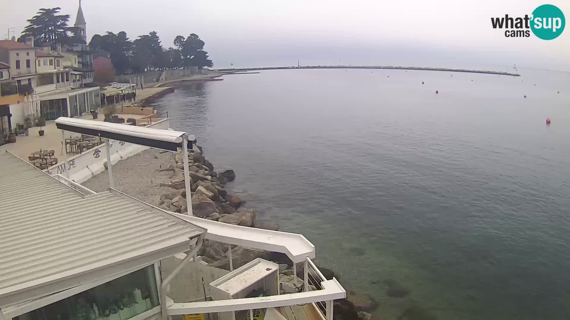 LIVE cam Novigrad – Porporela