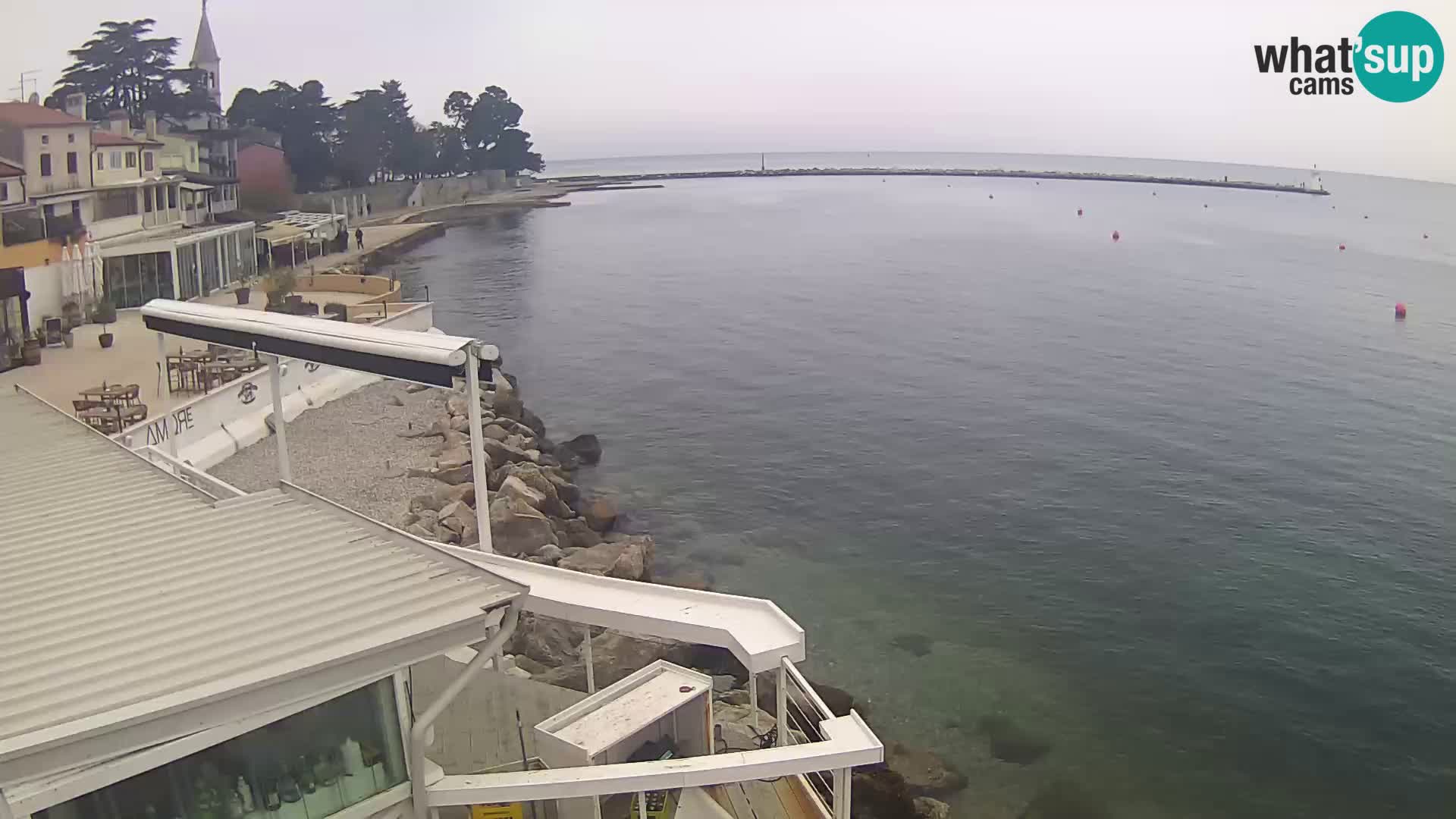 LIVE cam Novigrad – Porporela