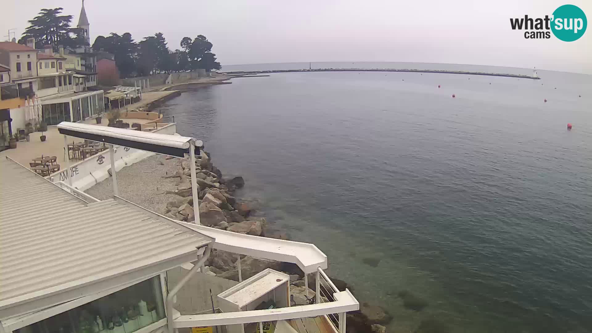 LIVE cam Novigrad – Porporela