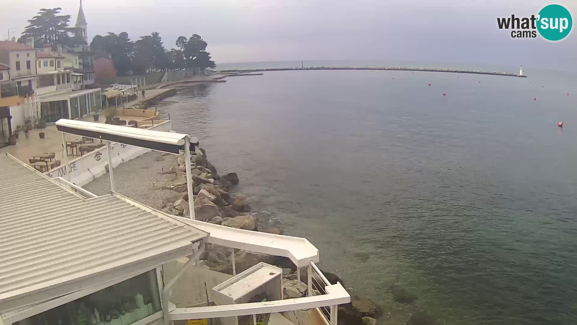 Novigrad live webcam – Porporela