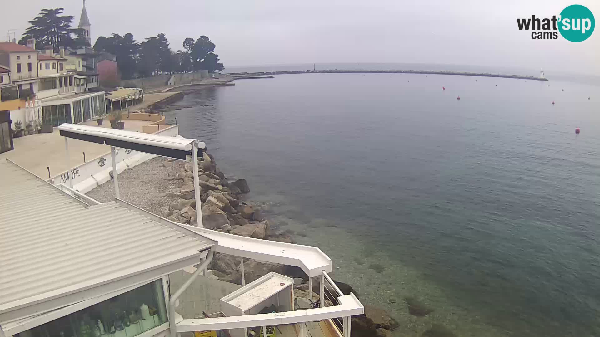 LIVE cam Novigrad – Porporela