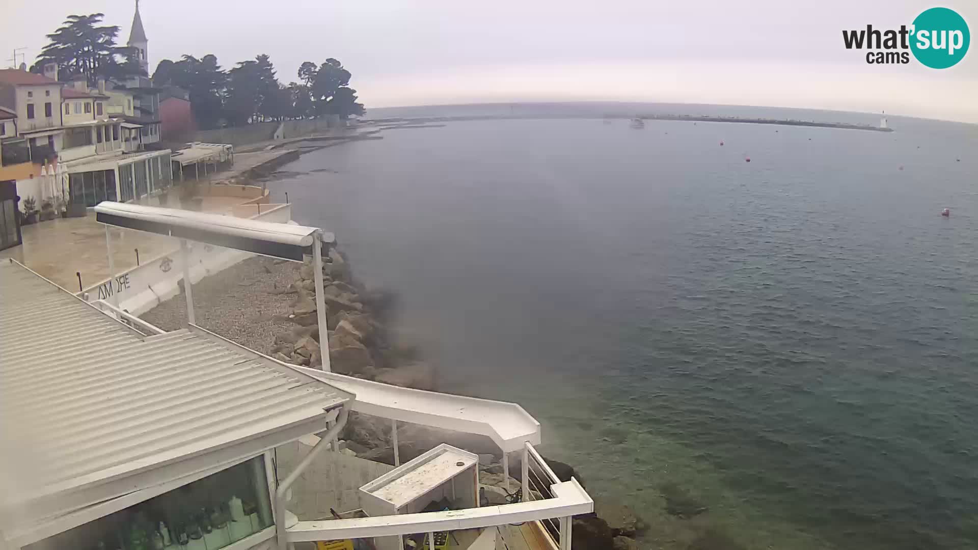 LIVE cam Novigrad – Porporela