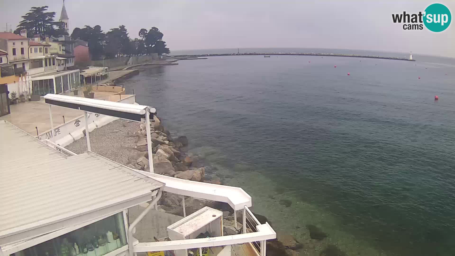 Novigrad live webcam – Porporela